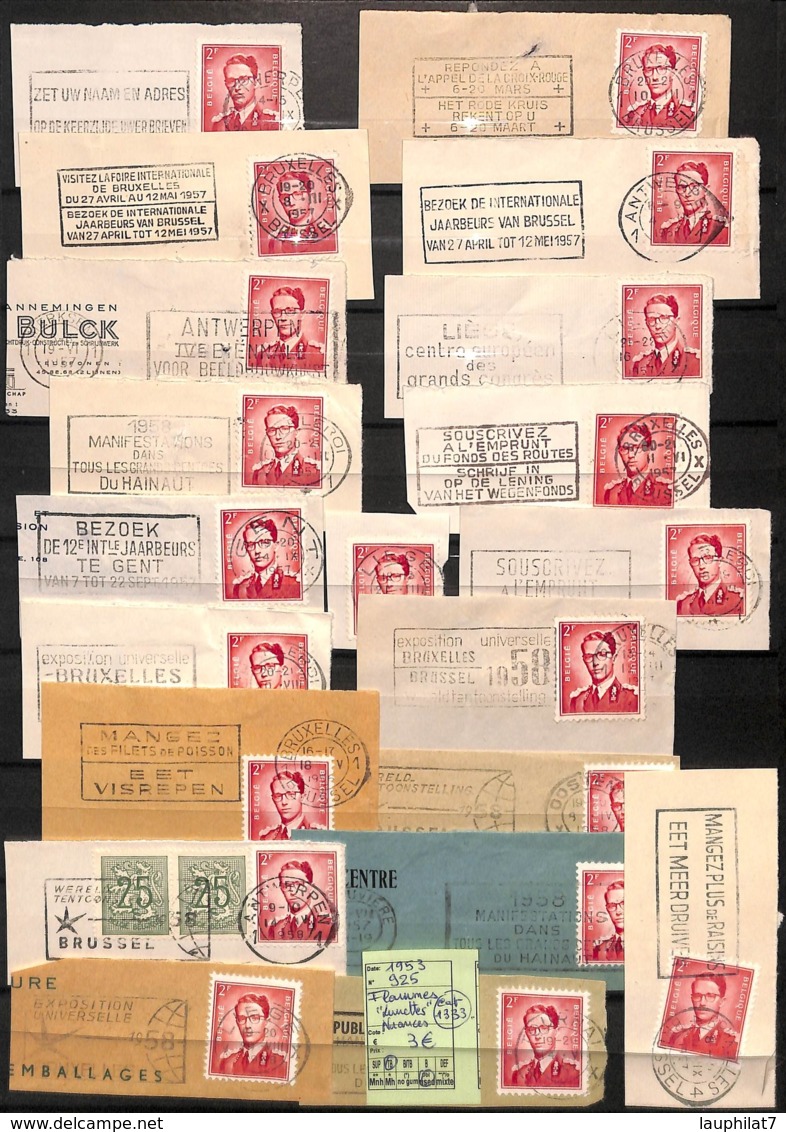 [824039]Belgique 1953 - N° 925, Lunettes, Nuances, Rois, Familles Royales - 1953-1972 Brillen