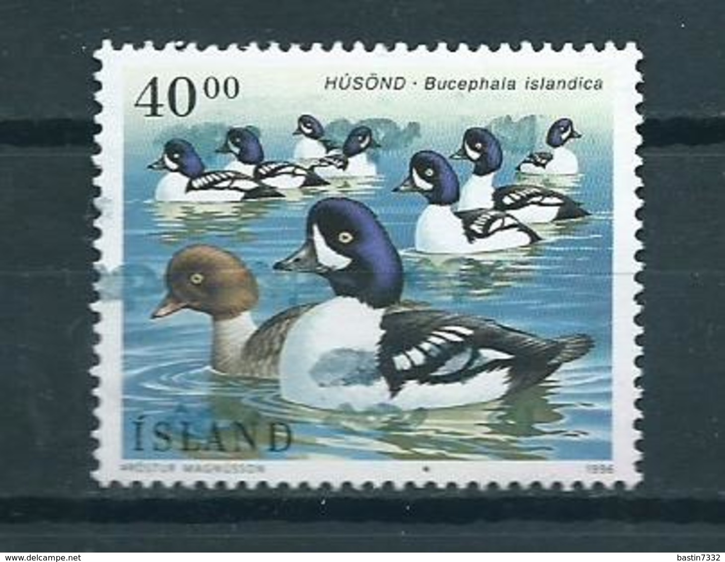 1996 Iceland Birds,oiseaux,vögel,ducks Used/gebruikt/oblitere - Gebruikt