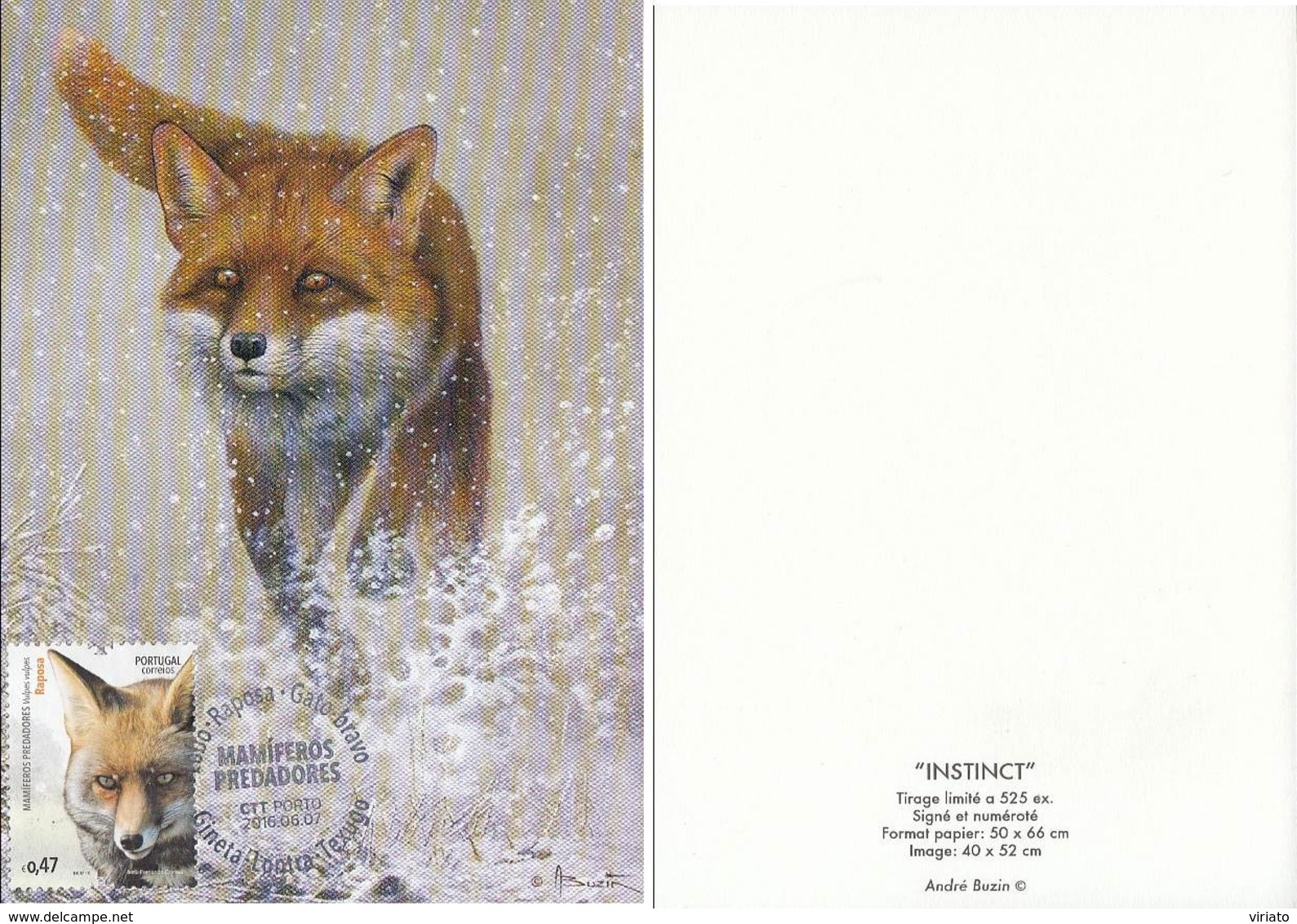 Red Fox (Vulpes Vulpes) - 1985-.. Oiseaux (Buzin)