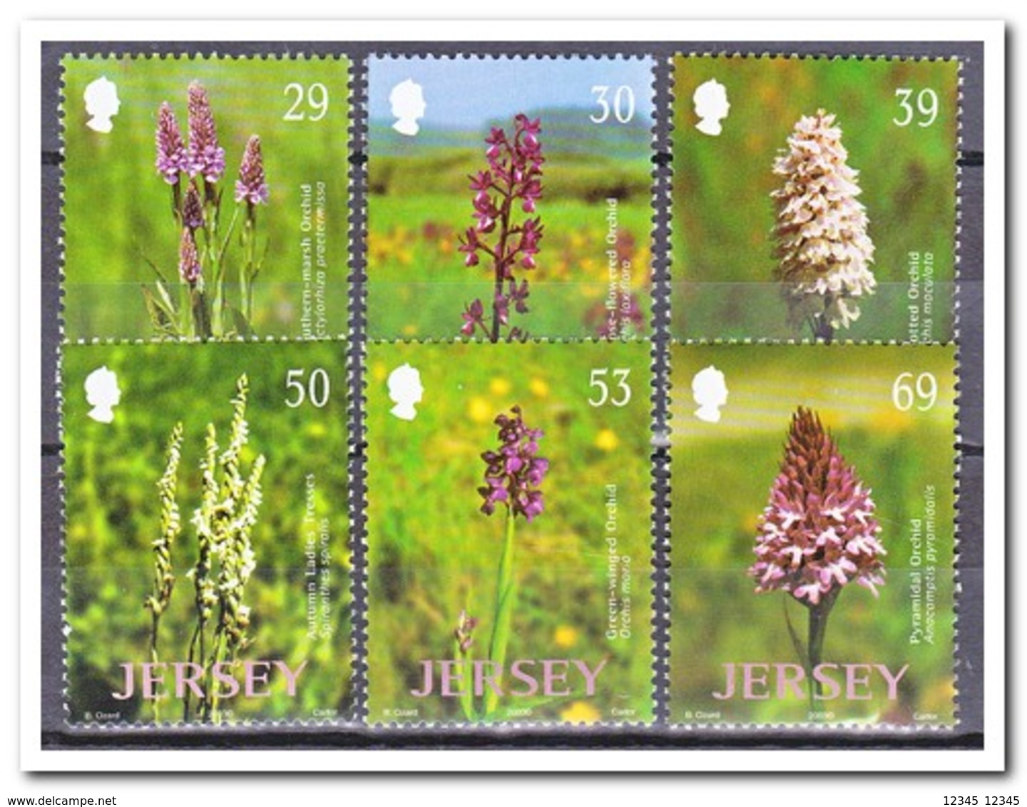 Jersey 2003, Postfris MNH, Flowers, Orchids - Jersey