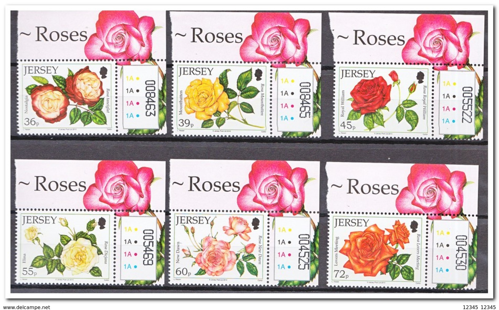 Jersey 2010, Postfris MNH, Flowers, Roses - Jersey