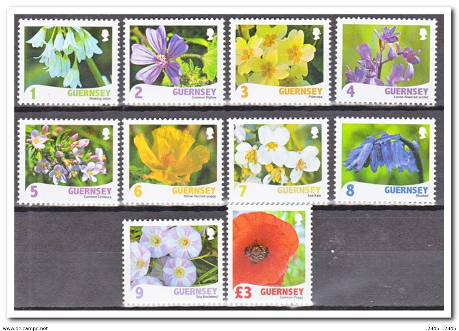 Guernsey 2009, Postfris MNH, Flowers - Guernesey