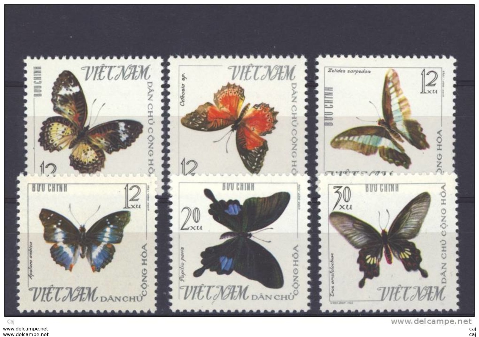 Viet-Nam Du Nord  -  1965  :  Yv  472-77  (*)   émis Sans Gomme ,  Papillon - Butterfly - Viêt-Nam