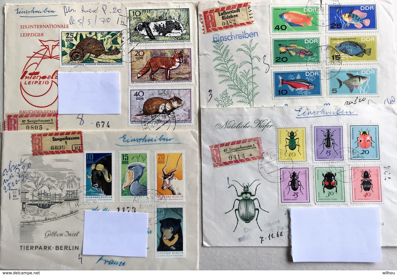 LOT DE 4 ENVELOPPES DDR ILLUSTREES SOIT 20 TIMBRES OBLITERES TOUTES DIFFERENTS ANIMAUX POISSONS INSECTES - Autres & Non Classés