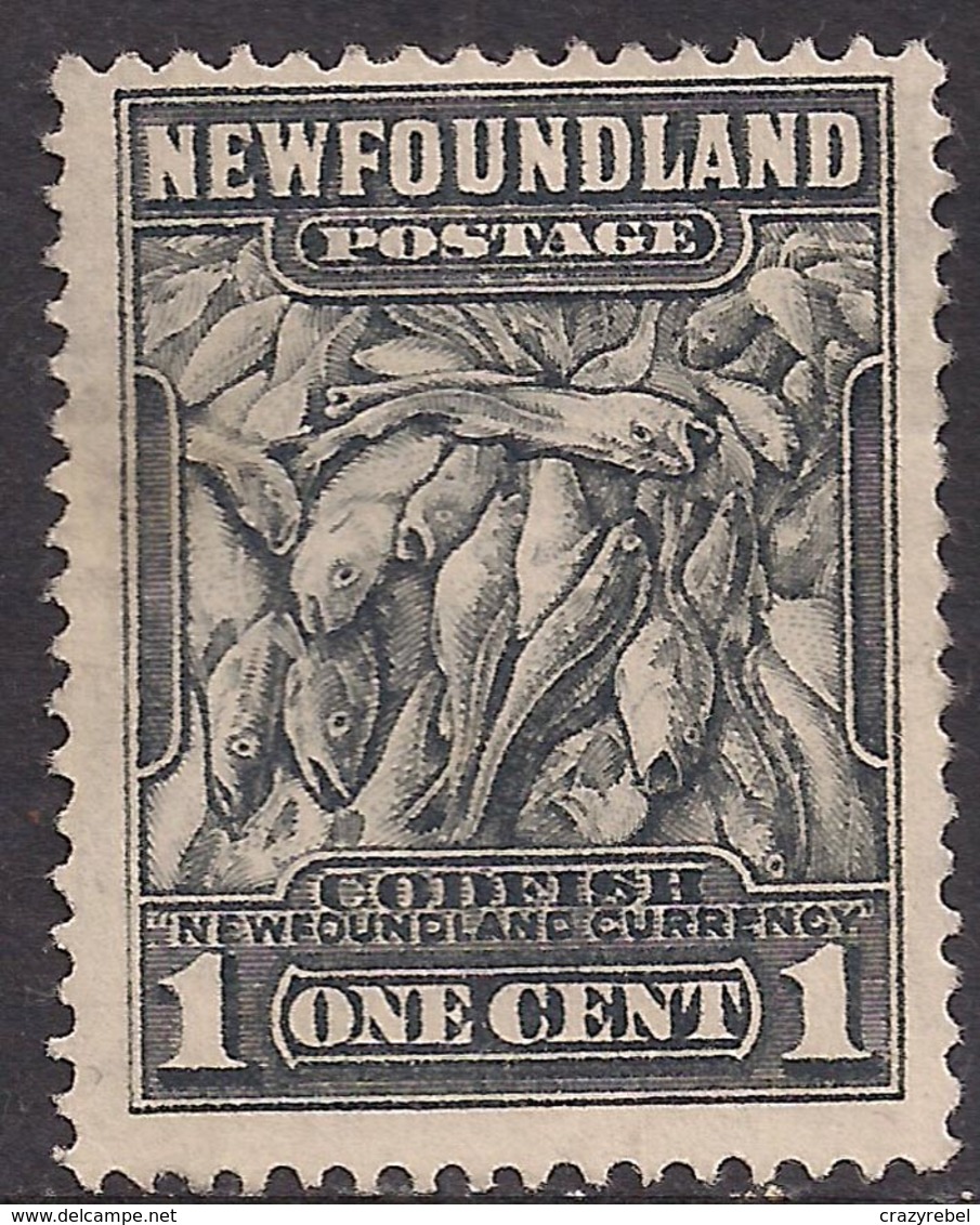 Newfoundland 1932 - 38 KGV 1ct Atlantic Cod SG 222 Unused No Gum ( M1006 ) - 1908-1947