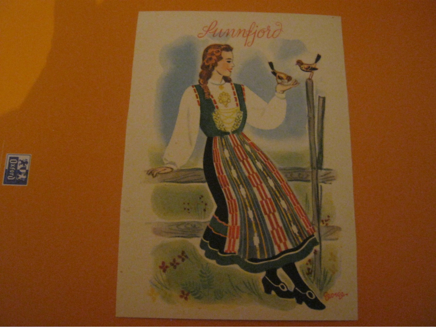 Norway -Norvège  SUNNFJORD .Femme Costume Folklore , Oiseaux, - Norvegia