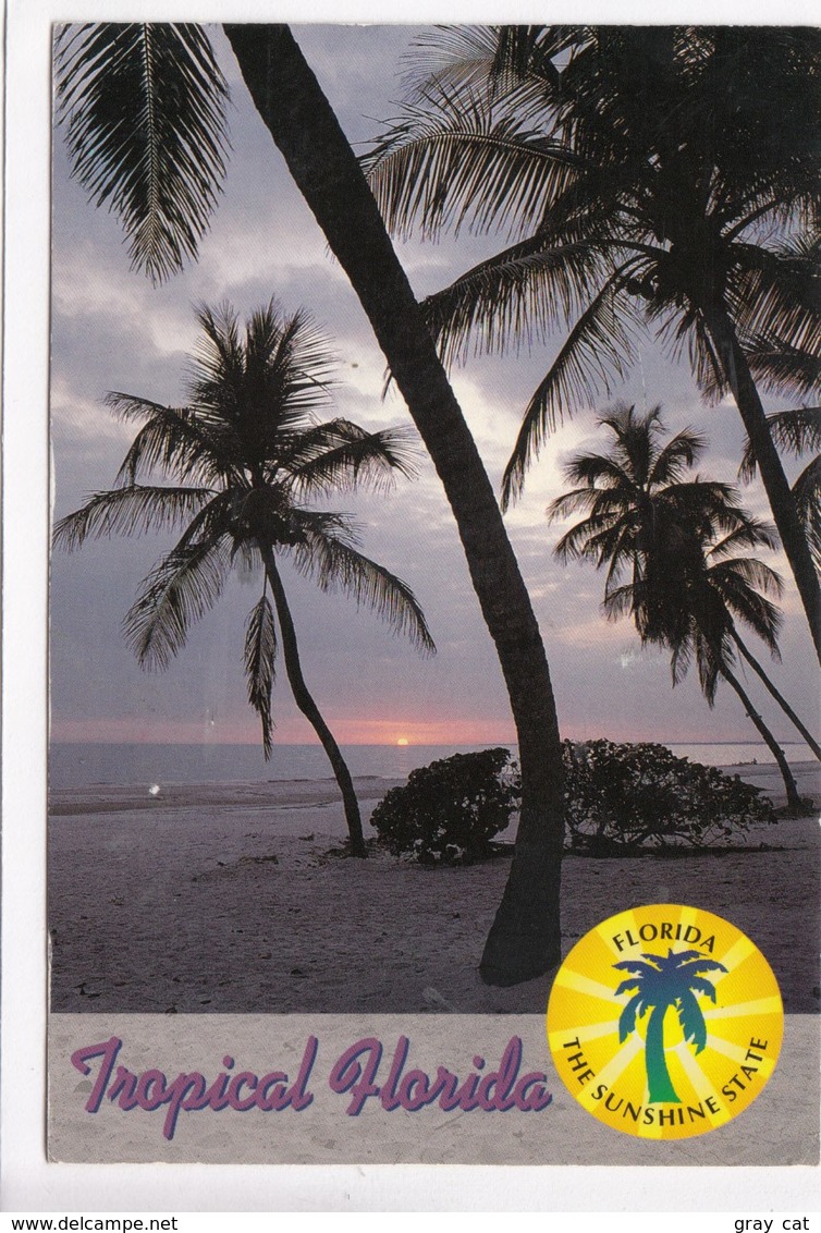 Tropical Florida, The Sunshine State, Used Postcard [22406] - Other & Unclassified