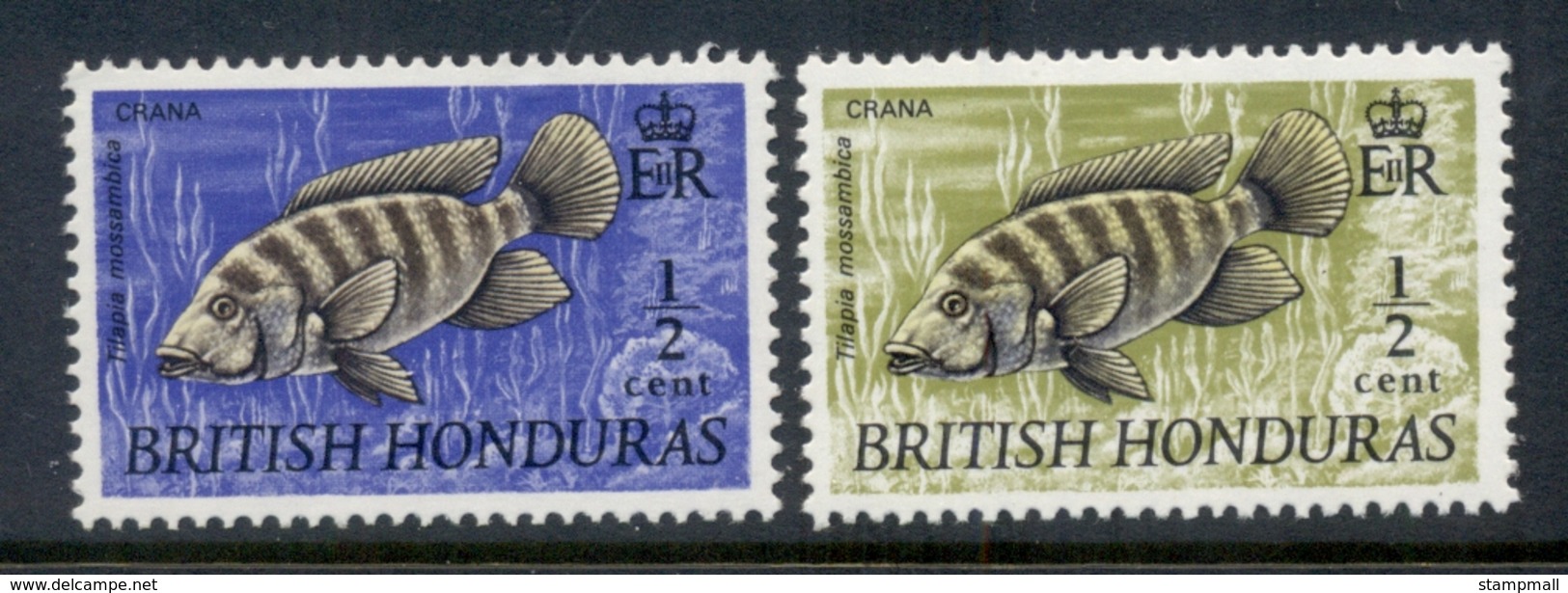 British Honduras 1969-72 Fish 0.5c, X2 MUH - Ecuador