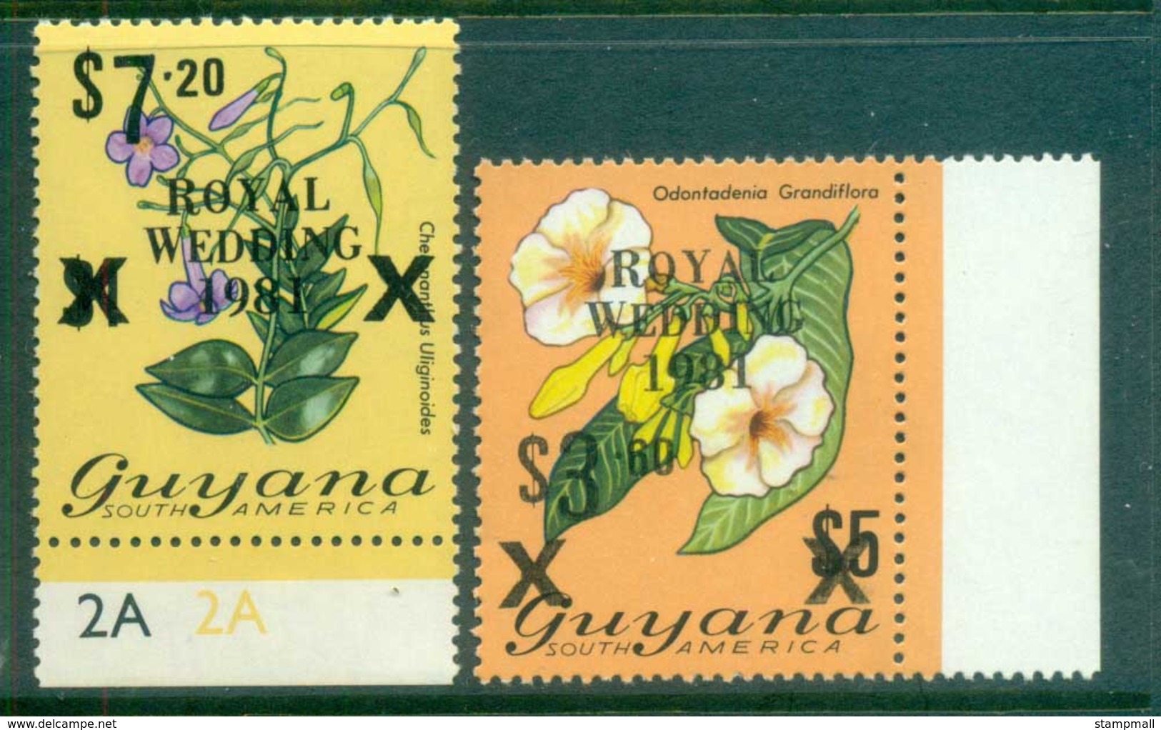 Guyana 1981 Royal Wedding $3.6, $7.2 Black Opts MUH Lot80926 - Guyana (1966-...)