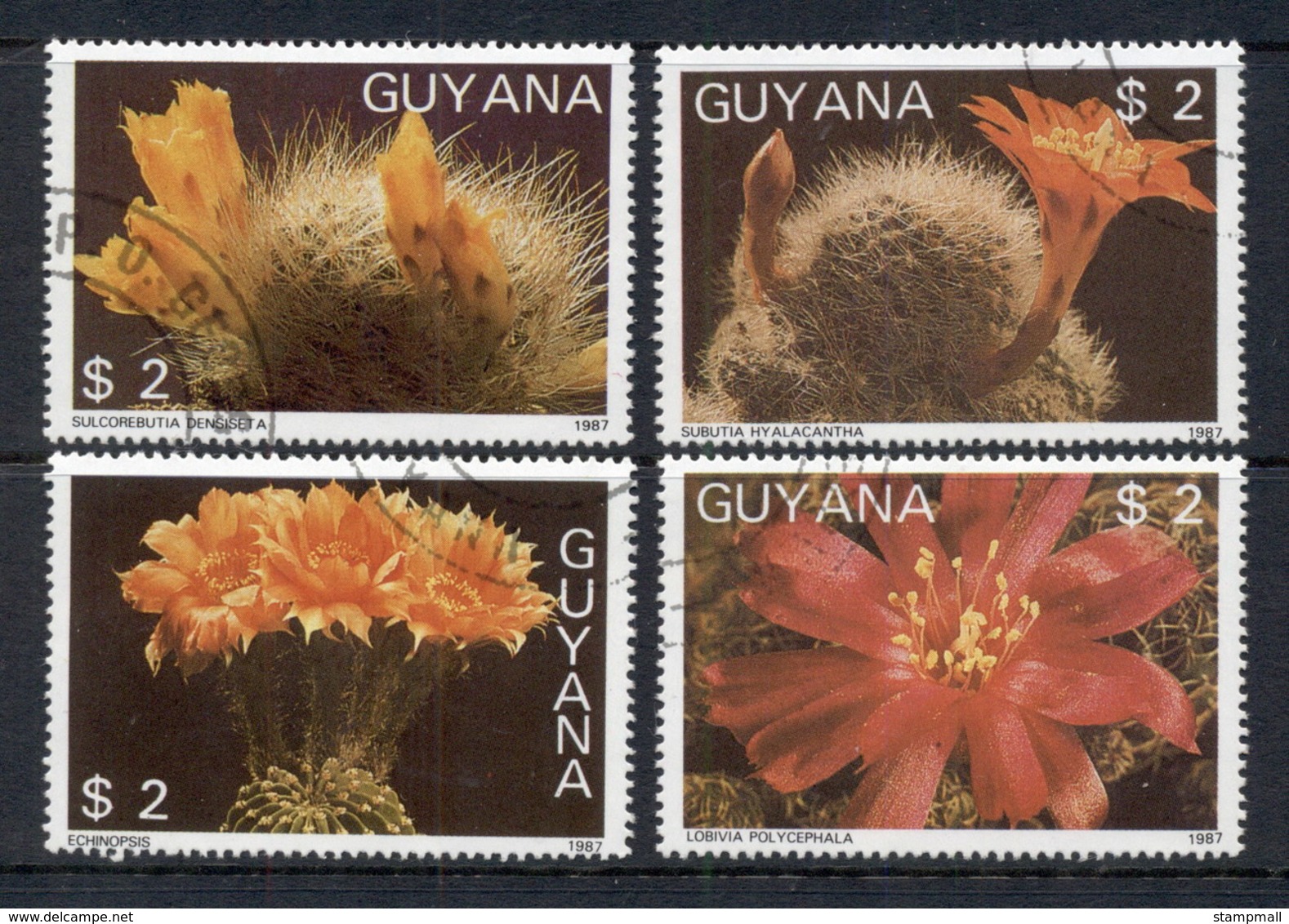 Guyana 1988 Cactus Flowers CTO - Guyana (1966-...)