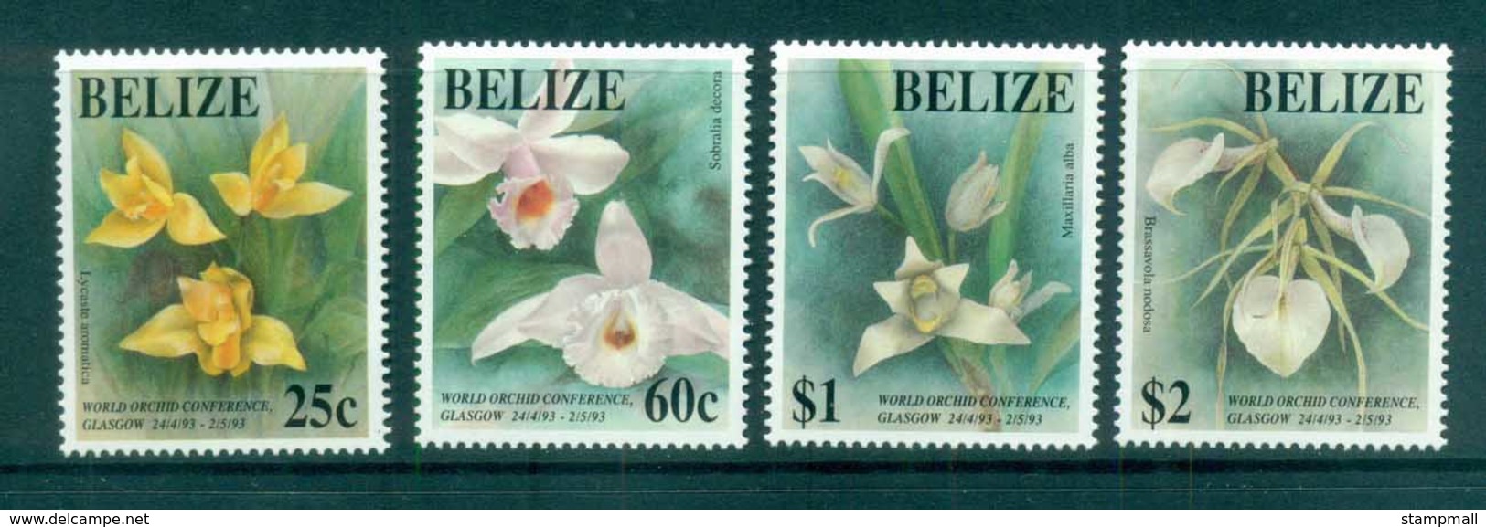 Belize 1993 Orchids MUH Lot81067 - Belize (1973-...)