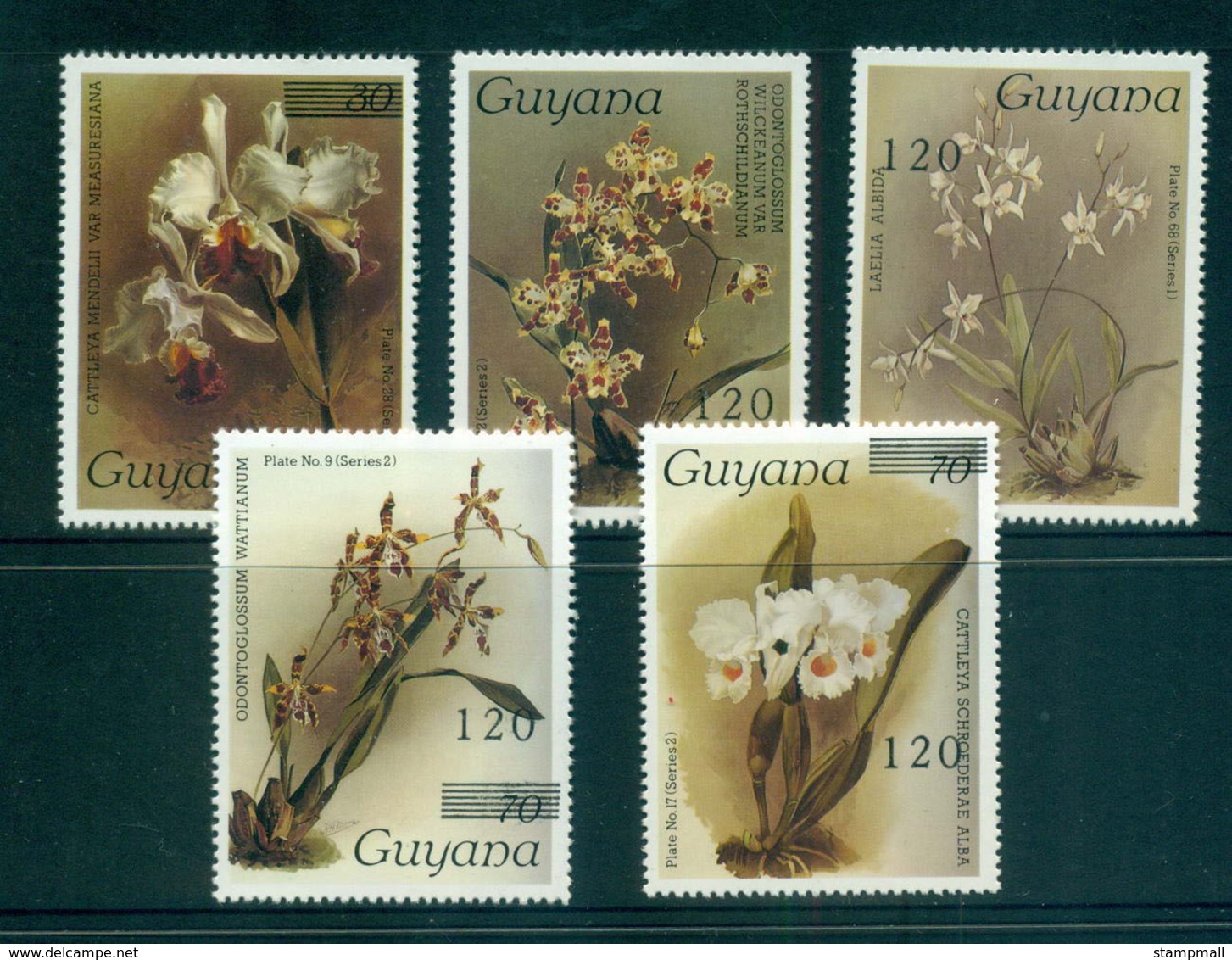Guyana 1987-89 Orchid Types Opt, Surch MLH Lot55306 - Guyana (1966-...)
