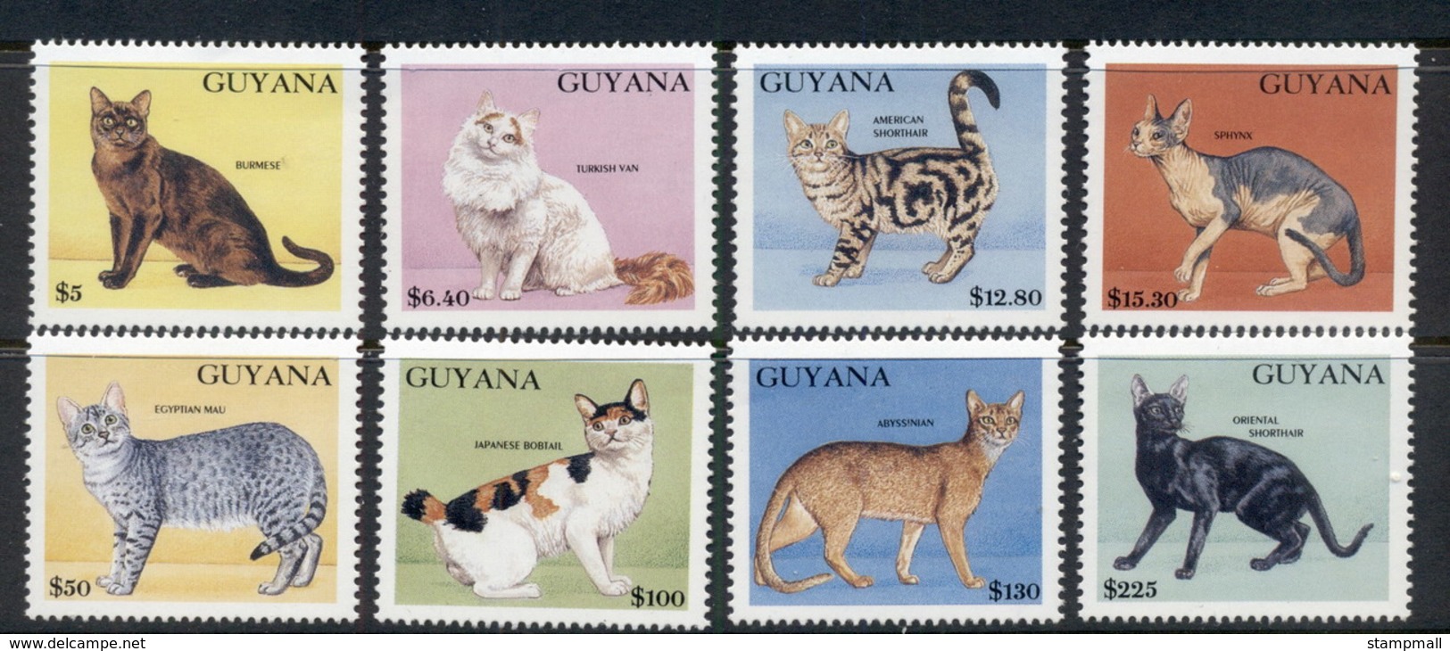 Guyana 1992 Cats MUH - Guyana (1966-...)