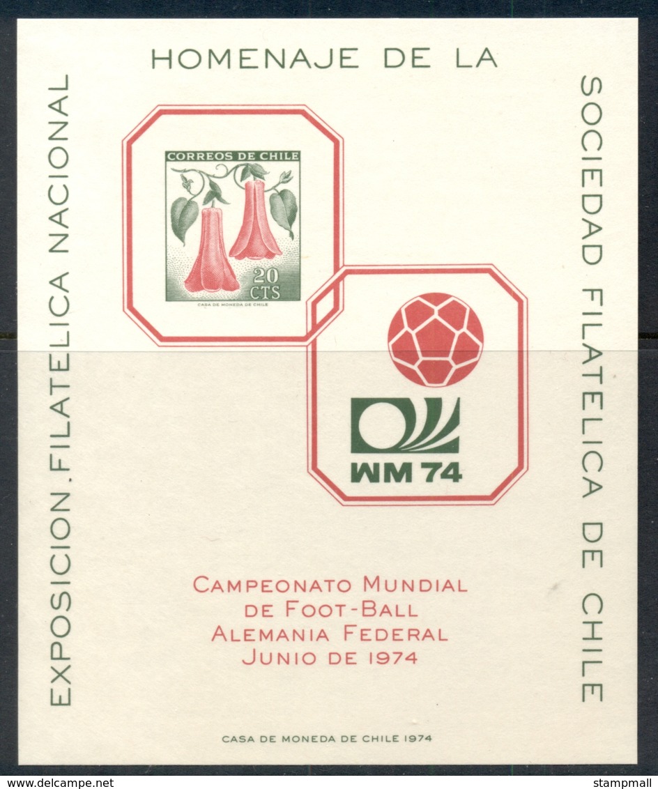 Chile 1974 World Cup Soccer Munich Stampex MS MUH - Ecuador