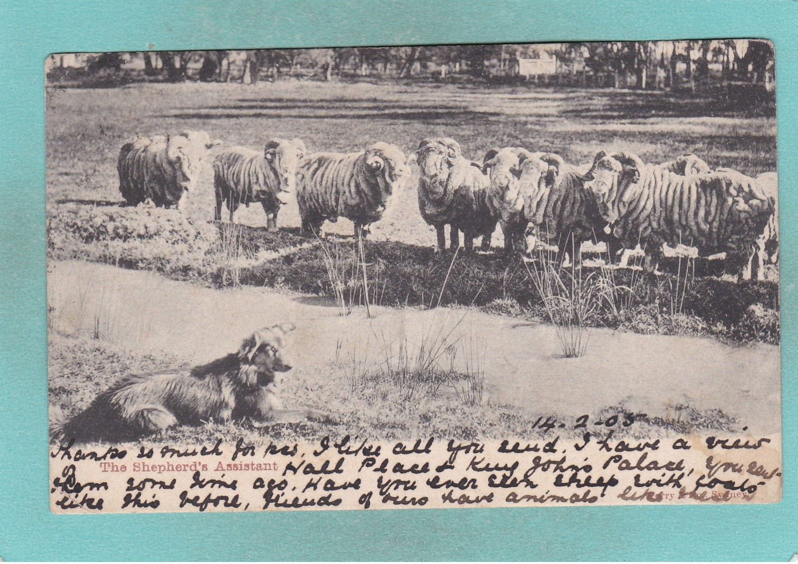 Old Post Card Of The Shepherds Assistant,Australia,J33. - Other & Unclassified