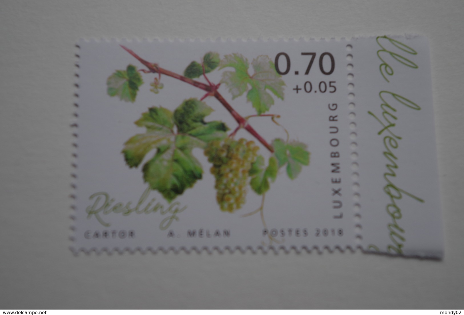 4-261 Vigne Vin Risling Alsace  Vine Grapes Rebe Trauben Viña Uvas Vite Uva Videira Vindruer  Wijnstok Druiven - Vins & Alcools