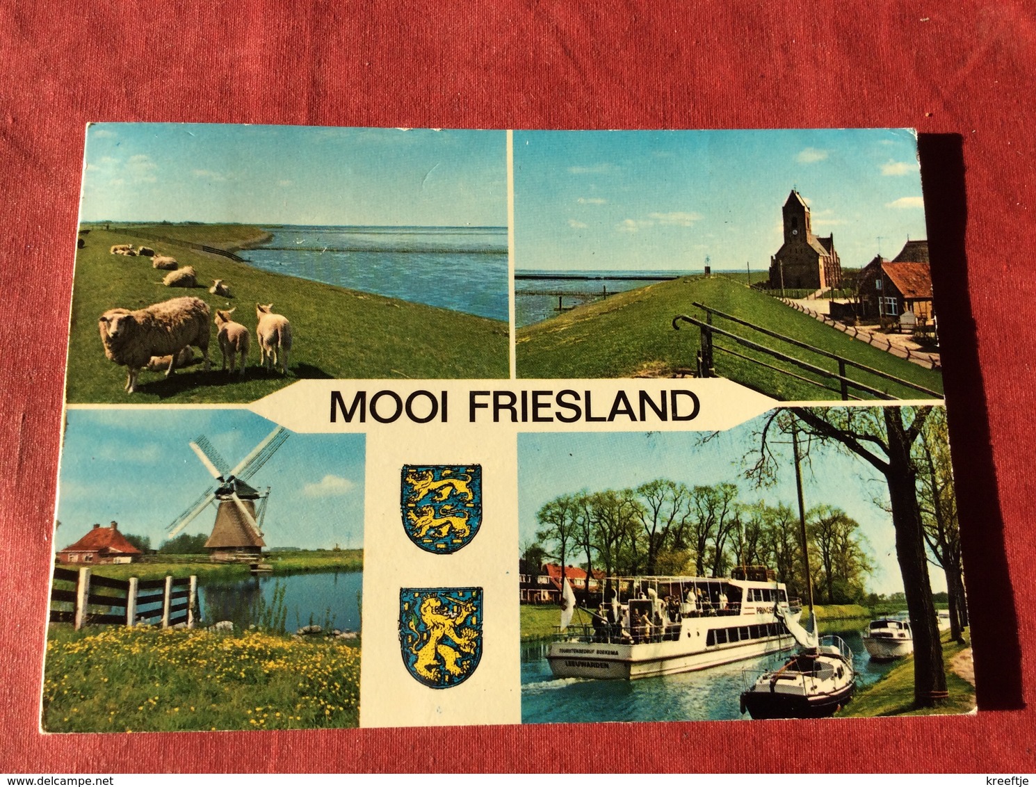 Nederland Mooi Friesland ( Schapen Moutons Sheep ) - Andere & Zonder Classificatie