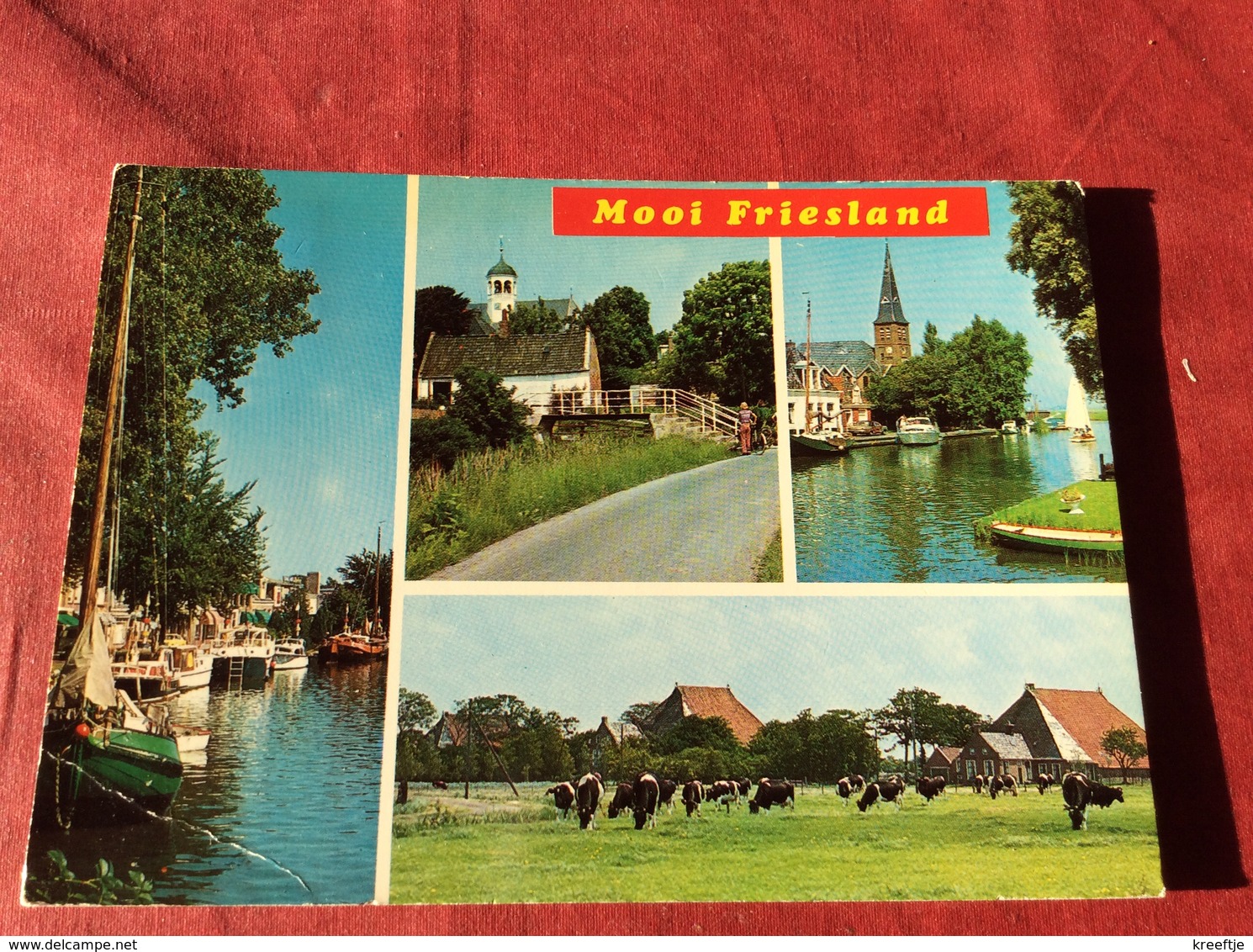 Nederland Mooi Friesland ( Koeien Vaches ) - Andere & Zonder Classificatie