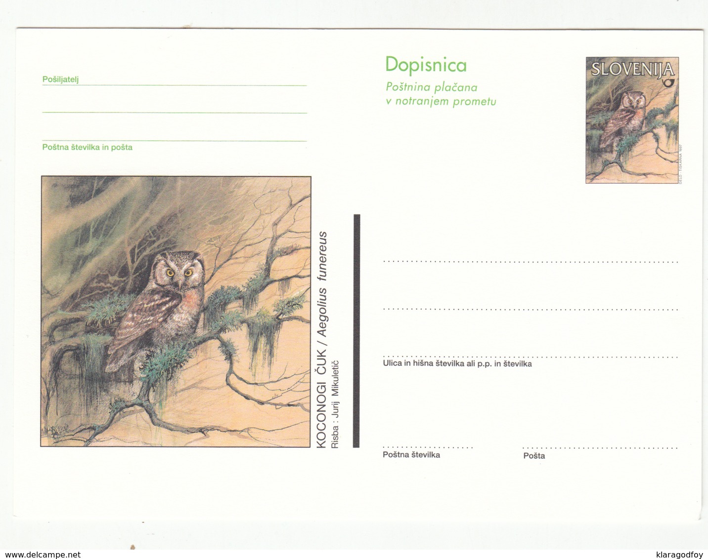Slovenia, Koconogi čuk Boreal Owl Illustrated Postal Stationery Dopisnica Unused B181215 - Owls