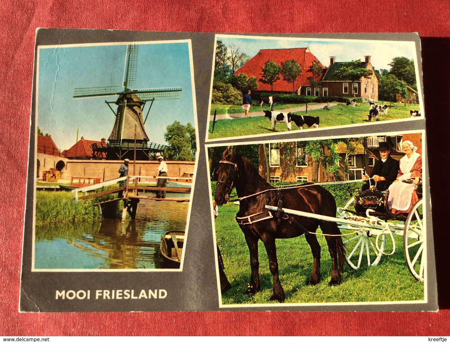 Nederland Mooi Friesland (paard Koe Klederdracht Windmolen ) - Paarden