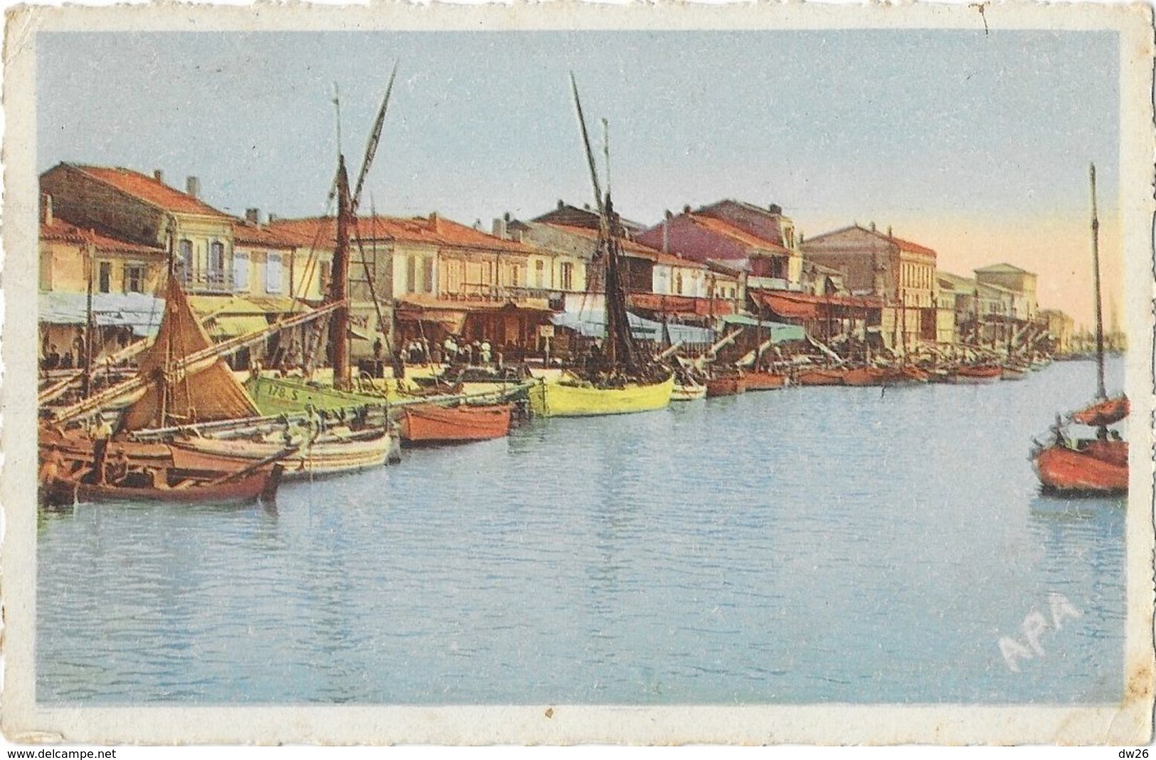 Le Grau-du-Roi (Gard) - Le Canal Et L'entrée Du Port, Bateaux à Quai - Carte APA-Poux Colorisée N° 1 - Le Grau-du-Roi