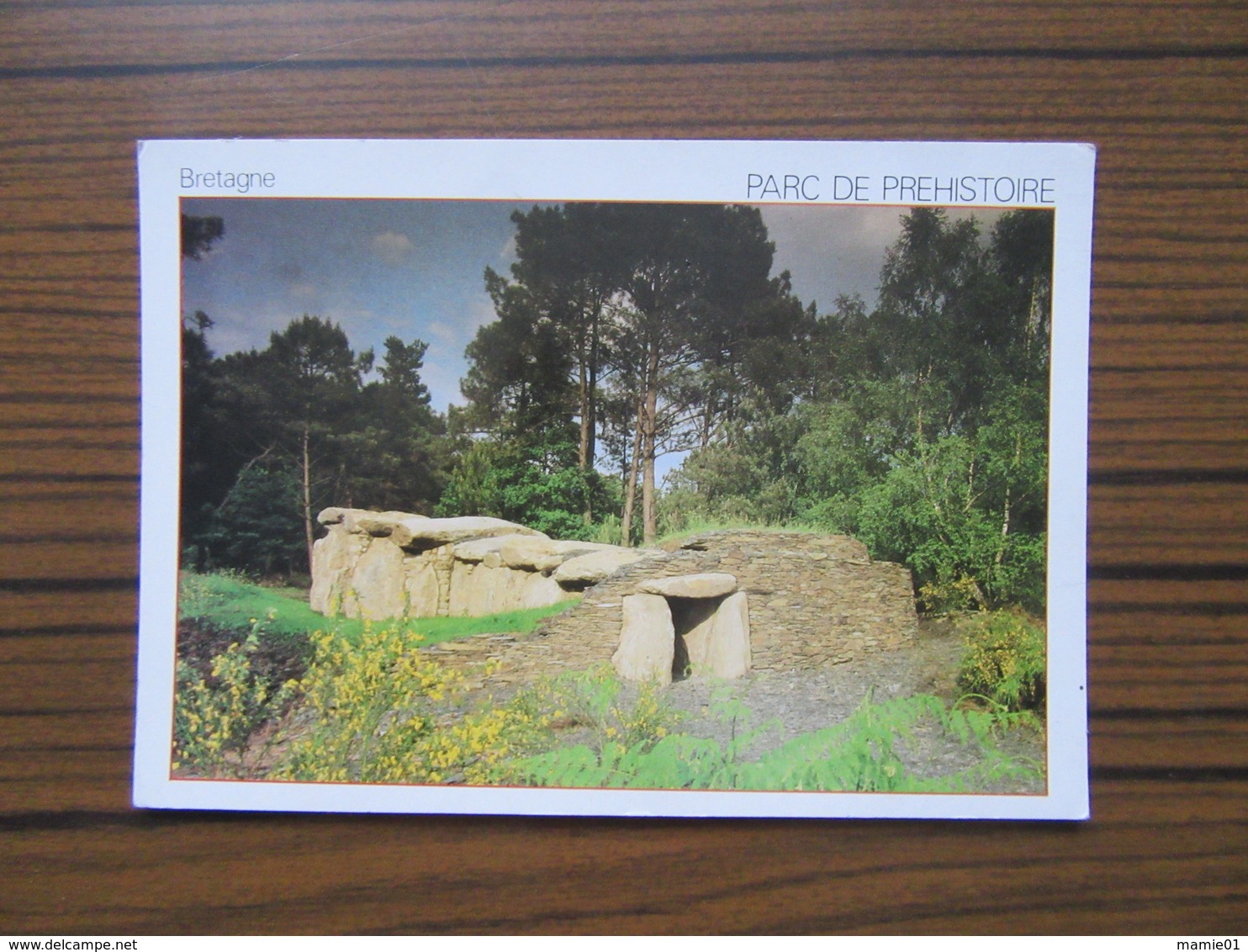 Dolmen Sous Cairn   Parc De Préhistoire  à Malansac  Morbihan                                         Néolithique - Dolmen & Menhire