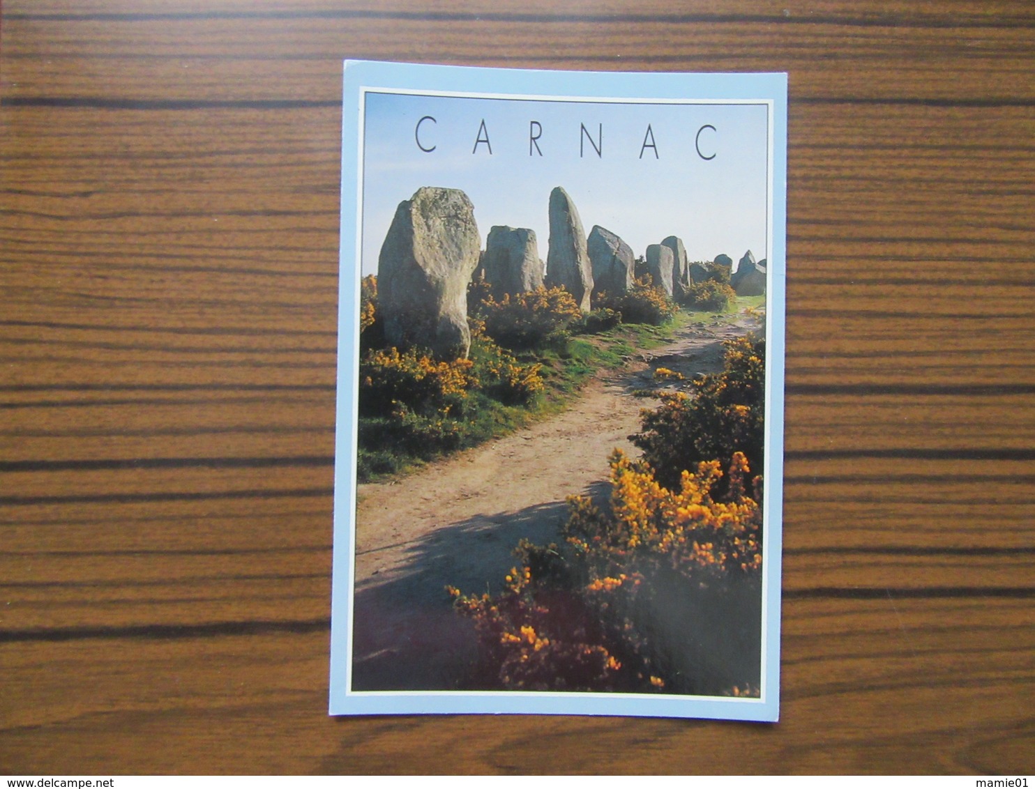 Les Alignements Mégalithiques De Kermario     Menhirs    Carnac    Morbihan - Dolmen & Menhirs