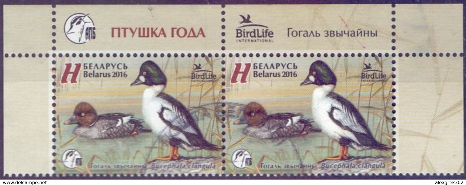 Used Belarus 2016 , Bird Of The Year - Common Goldeneye (Bucephala Clangula) 2V. - Belarus