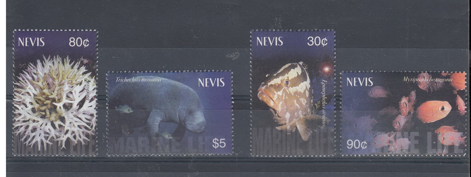 Nevis (BBK) Michel Cat.No. Mnh/** 1931/1934 Sea Life - St.Kitts-et-Nevis ( 1983-...)