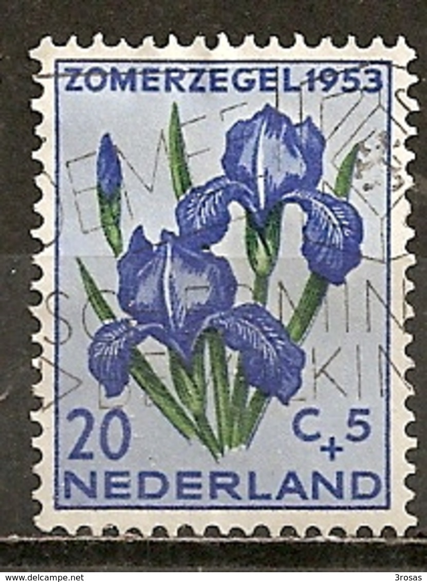 Pays-Bas Netherlands 1953 Fleur Flower Obl  Highest Difficult Value At BARGAIN Price - Gebraucht