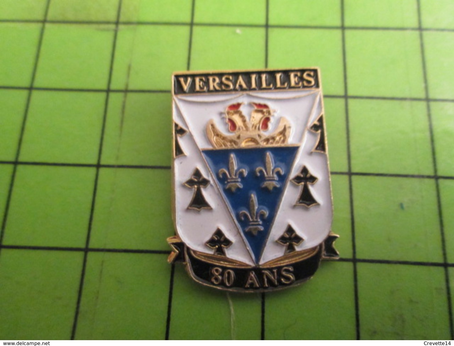 513i Pins Pin's / Rare & De Belle Qualité  THEME : ASSOCIATIONS / BRETONS DE VERSAILLES 80 ANS HERMINE ET FLEUR DE LYS - Associations