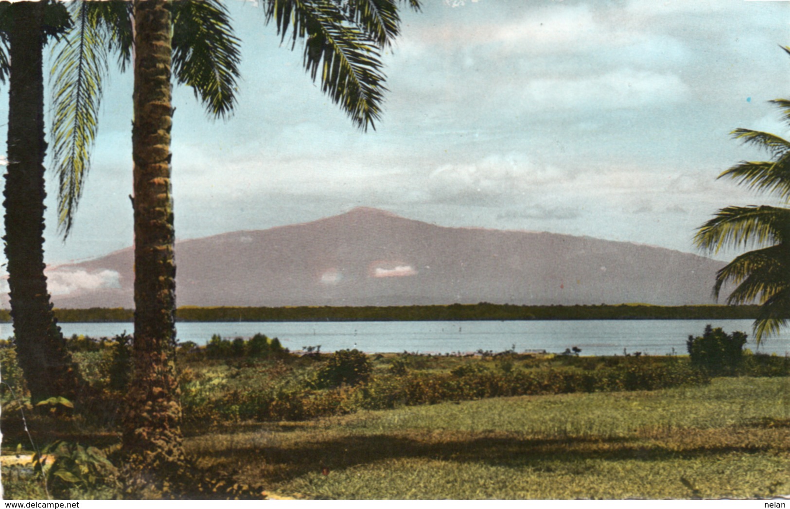 CAMEROUN-DOUALA-VUE SUR LE MONT CAMEROUN-1963 - Camerun