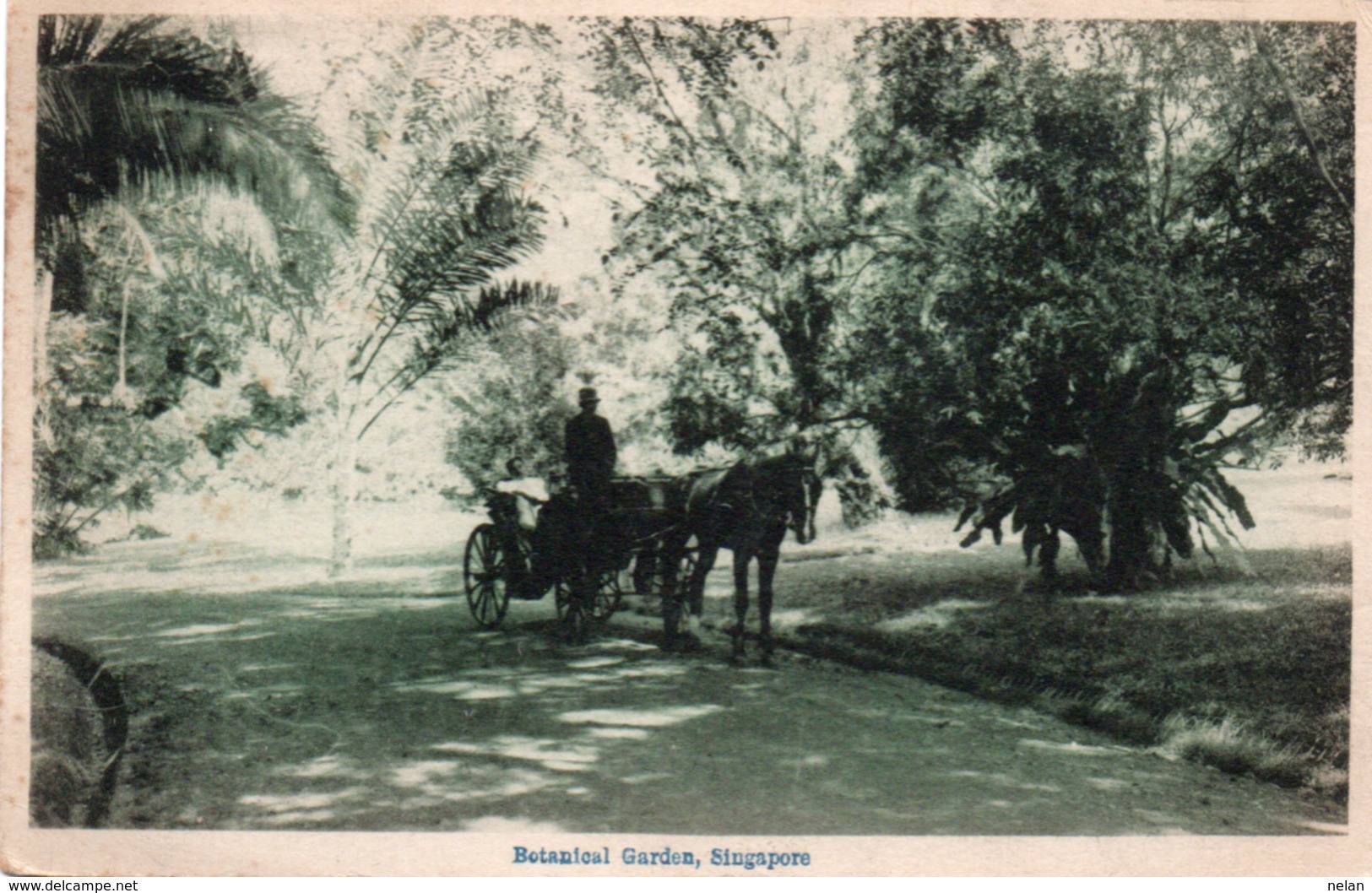 BOTANICAL GARDEN-SINGAPORE-1920 - Singapore