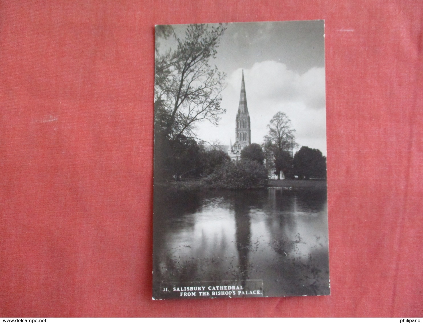 > England > Wiltshire > Salisbury  Cathedral   RPPC Ref 3098 - Salisbury