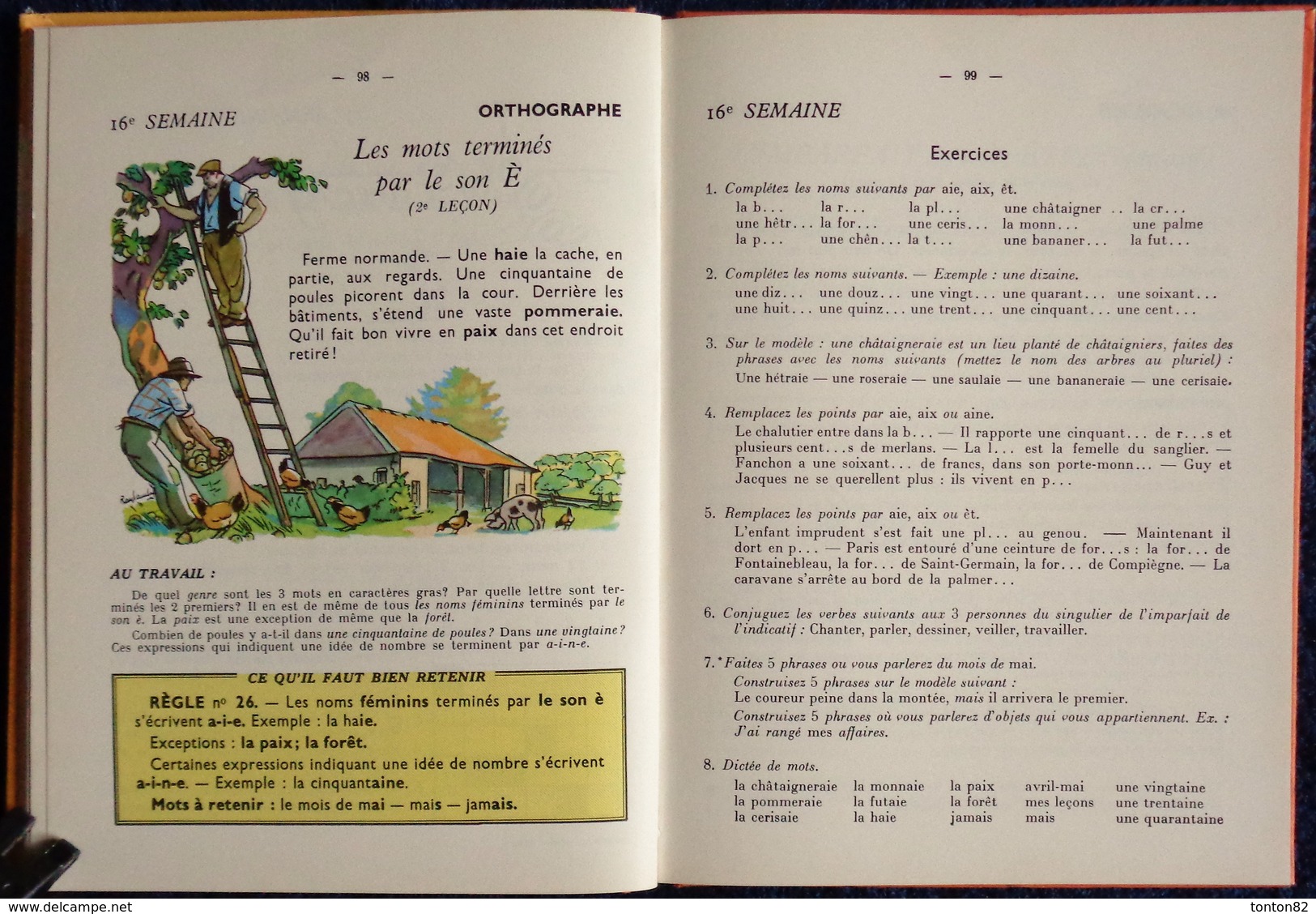 Berthou / Gremaux / Mme Vœgelé - Grammaire - Conjugaison - Orthographe - Cours Élémentaire - Eugène Belin - ( 1967 ) .