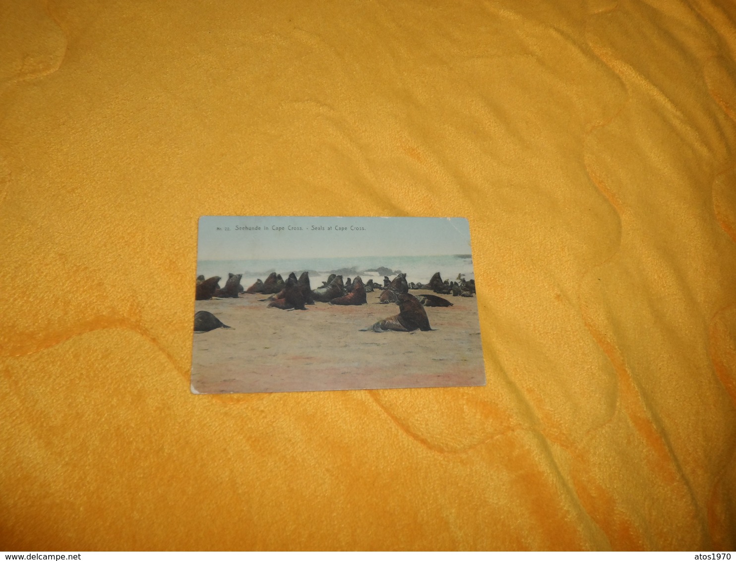 CARTE POSTALE ANCIENNE CIRCULEE DATE ?. / SEEHUNDE IN CAPE CROSS. SEALS AT CAPE CROSS. TIMBRES ZUIDWEST SOUTH WEST AFRIC - Afrique Du Sud