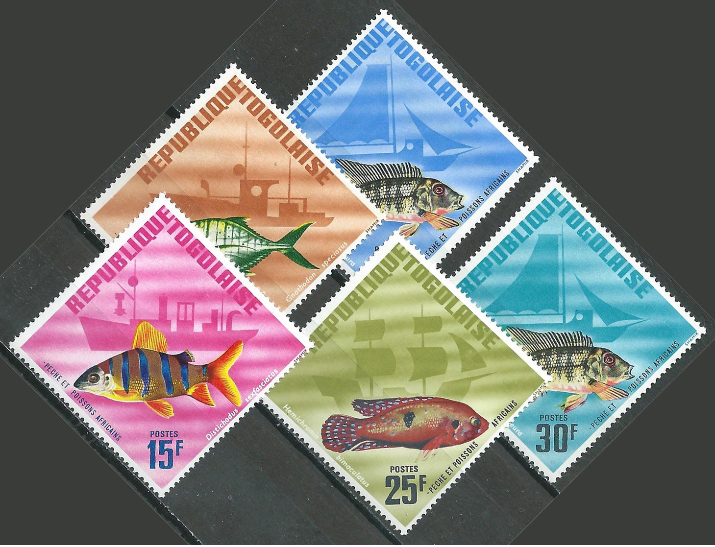 Togo YT N°515/519 Pêche Et Poissons Africains Neuf ** - Togo (1960-...)