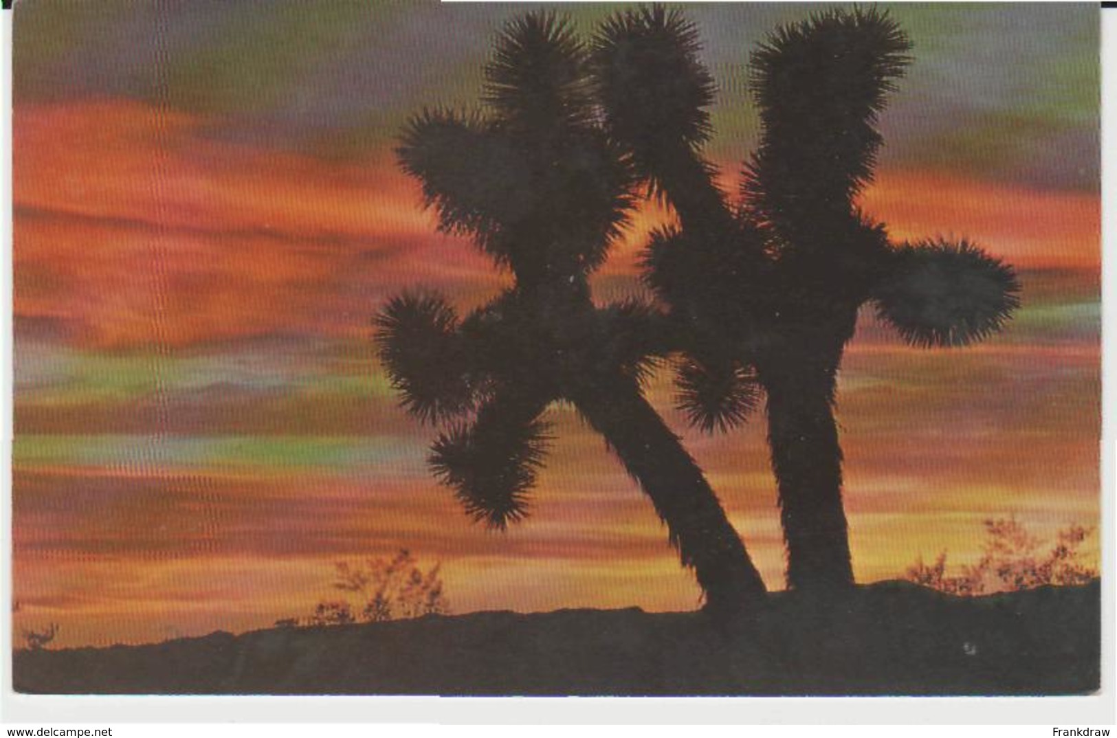 Postcard - Sunset On The Desert - Used But Never Posted Very Good - Non Classés