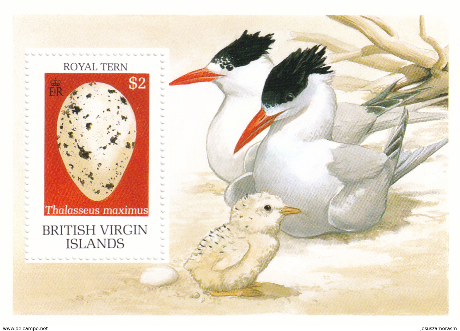 Virgenes Hb 63 - British Virgin Islands