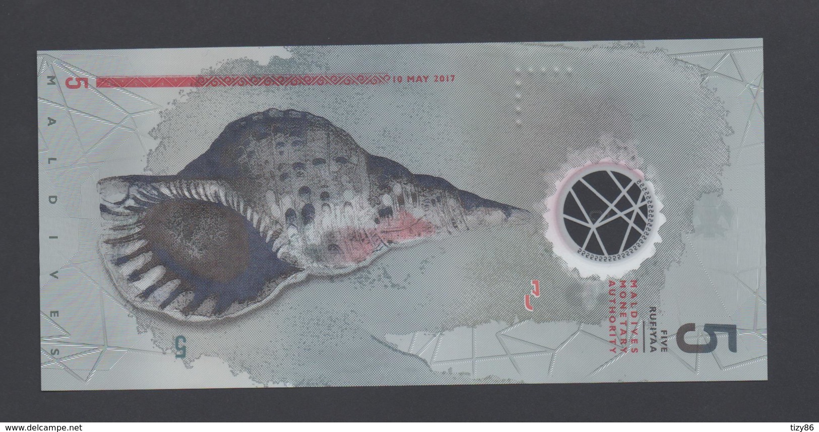 Banconota Maldive 5 Rufiyaa 2017 Fds Unc Polymer - Maldives