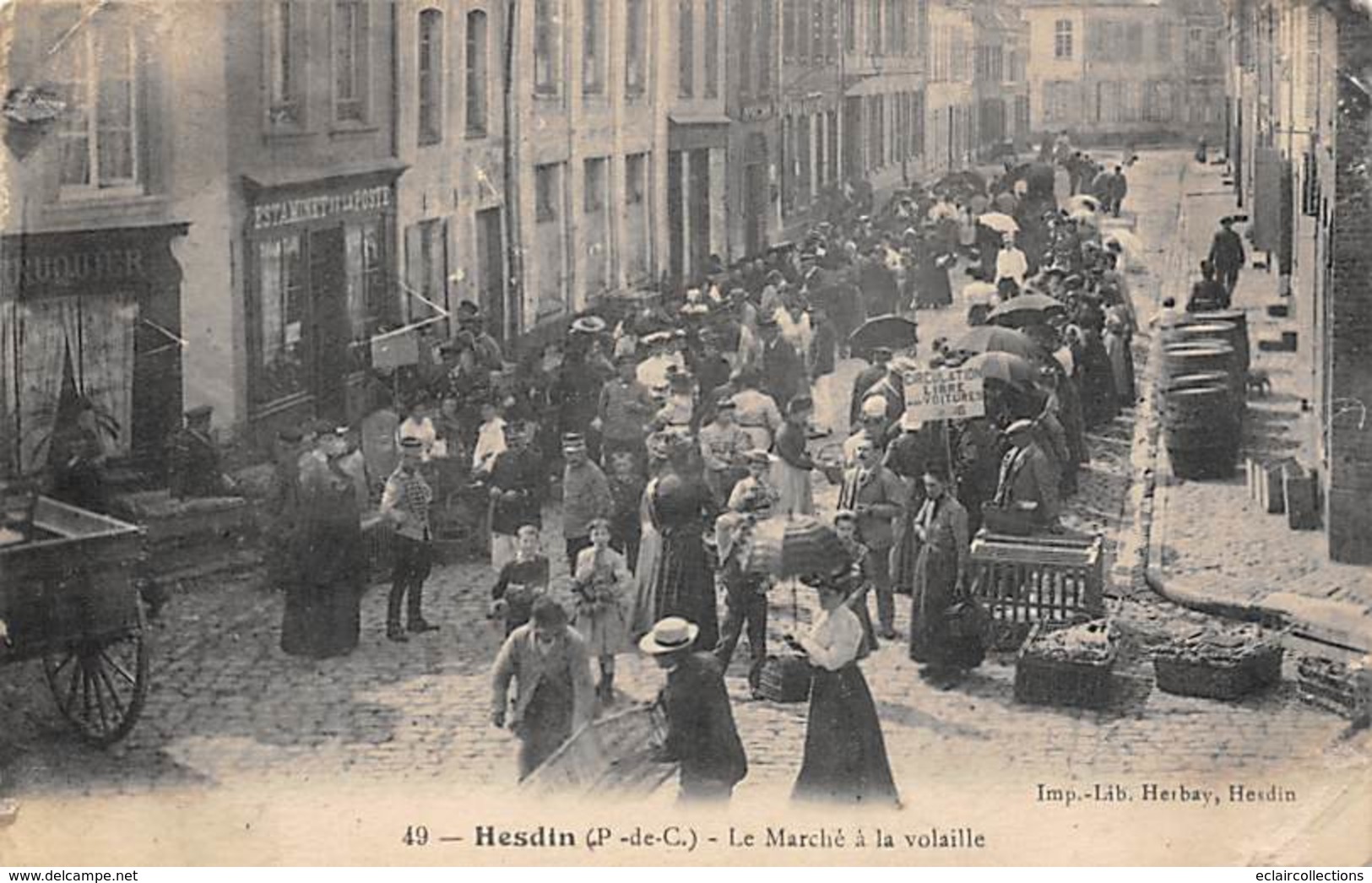 Hesdin       62           Le Marché A La Volaille     (voir Scan) - Hesdin