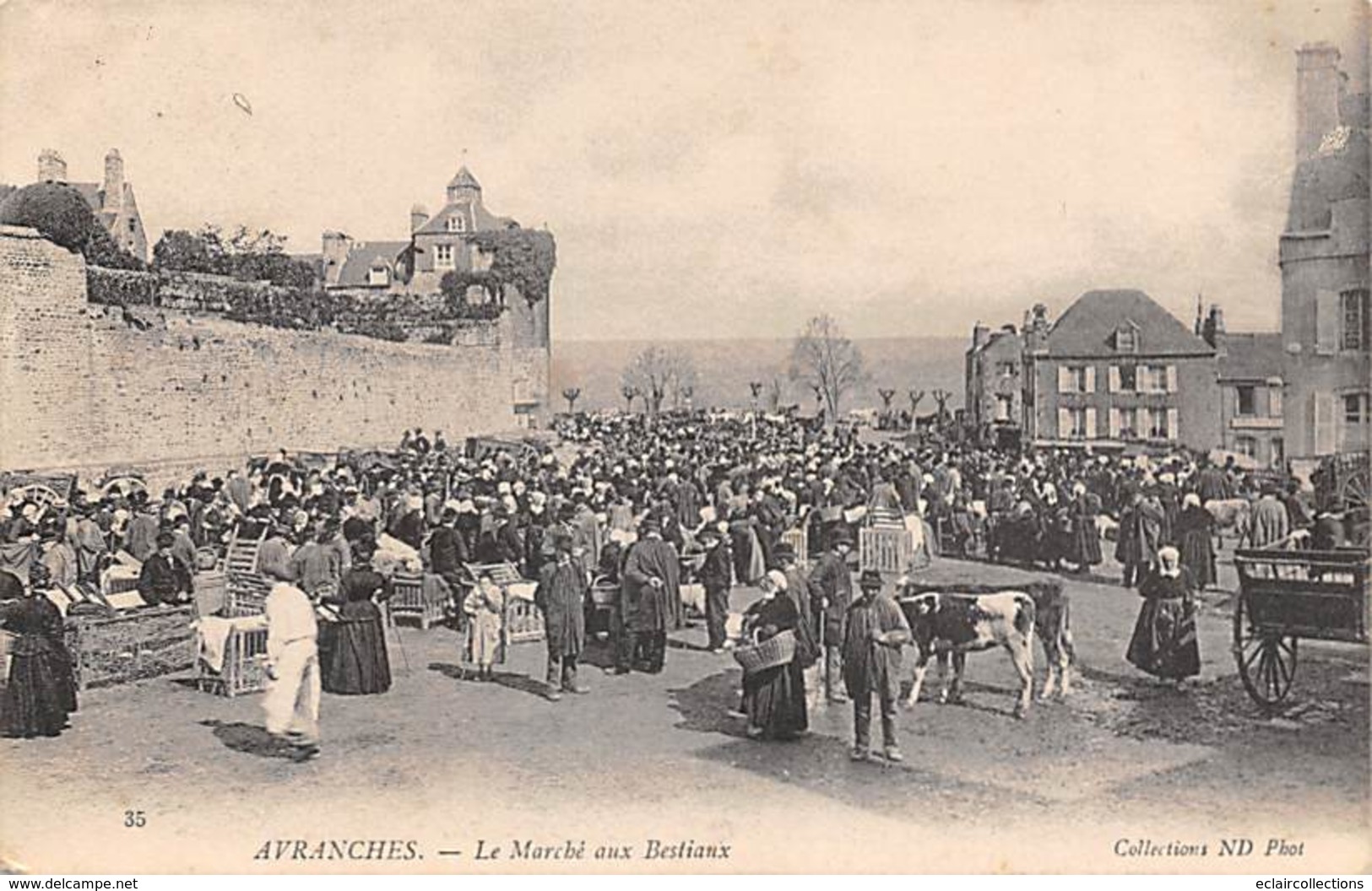 Avranches        50      Le Marché Aux Bestiaux    (voir Scan) - Avranches