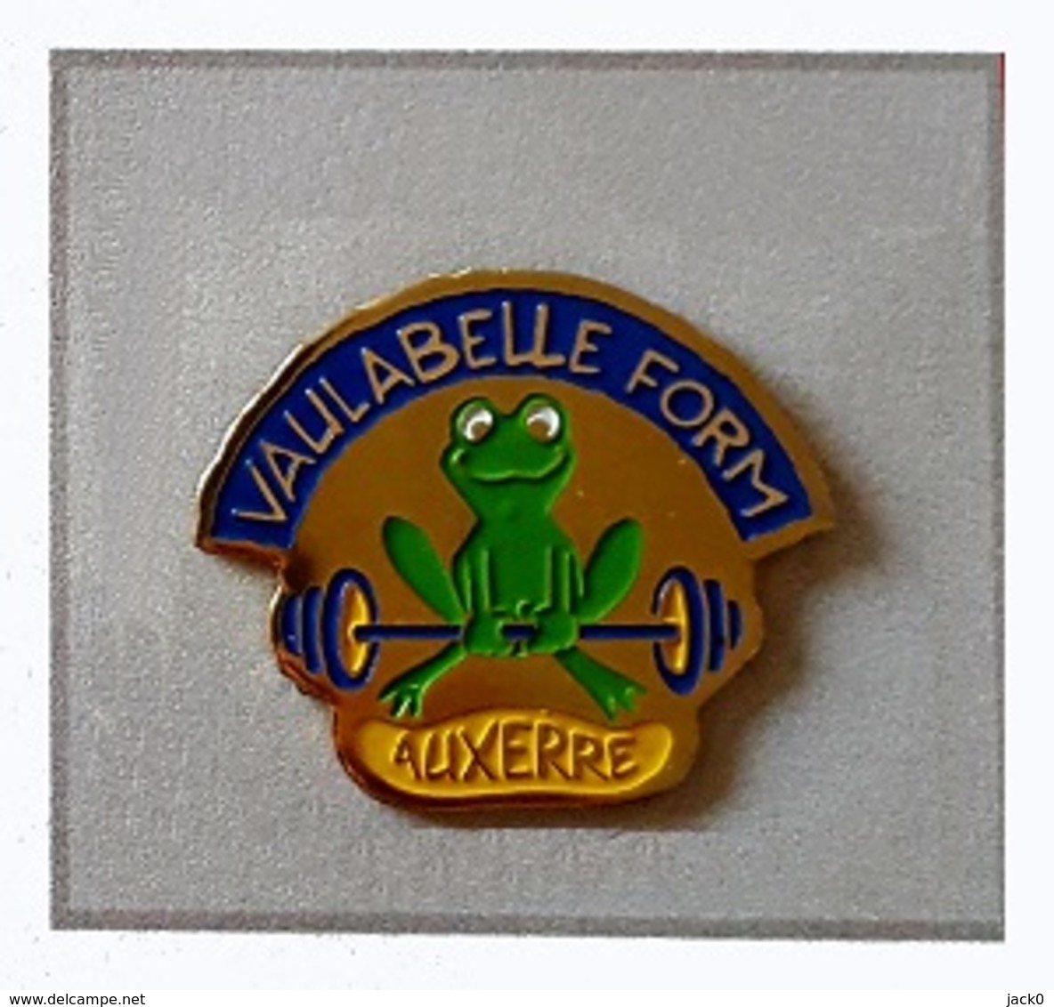 Pin's  Ville, Animal  GRENOUILLE  Verte   Sur  Publicité   Centre De Fitness  VAULABELLE  FORM  à  AUXERRE  ( 89 ) - Animaux