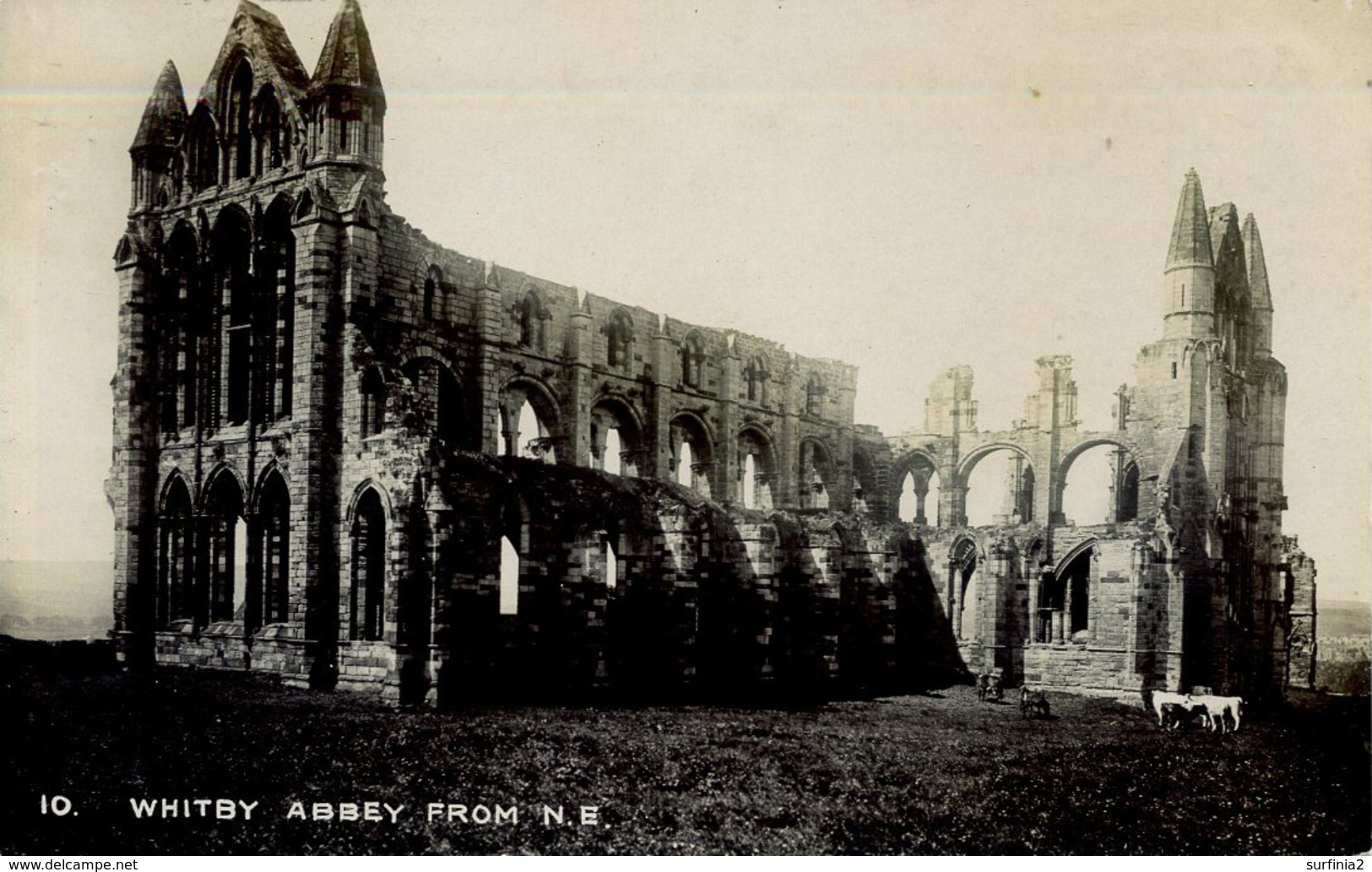 YORKS - WHITBY ABBEY FROM NE RP  Y837 - Whitby