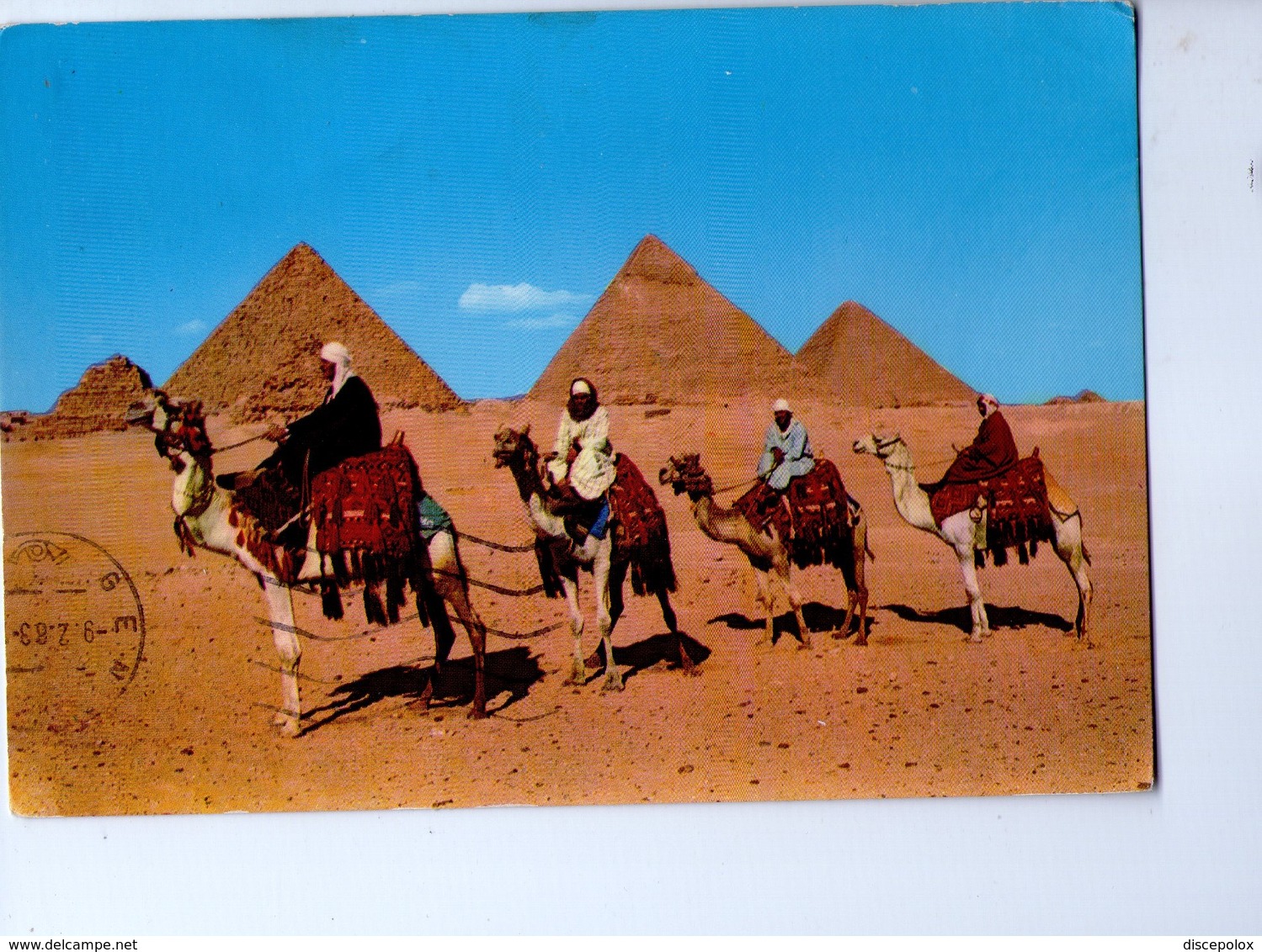 U4169 Postcard With CAMEL CAMMELLO, KAMEL, Chameau -  GIZA, ARAB CAMELRIDERS IN FRONT OF PYRAMID - Altri & Non Classificati