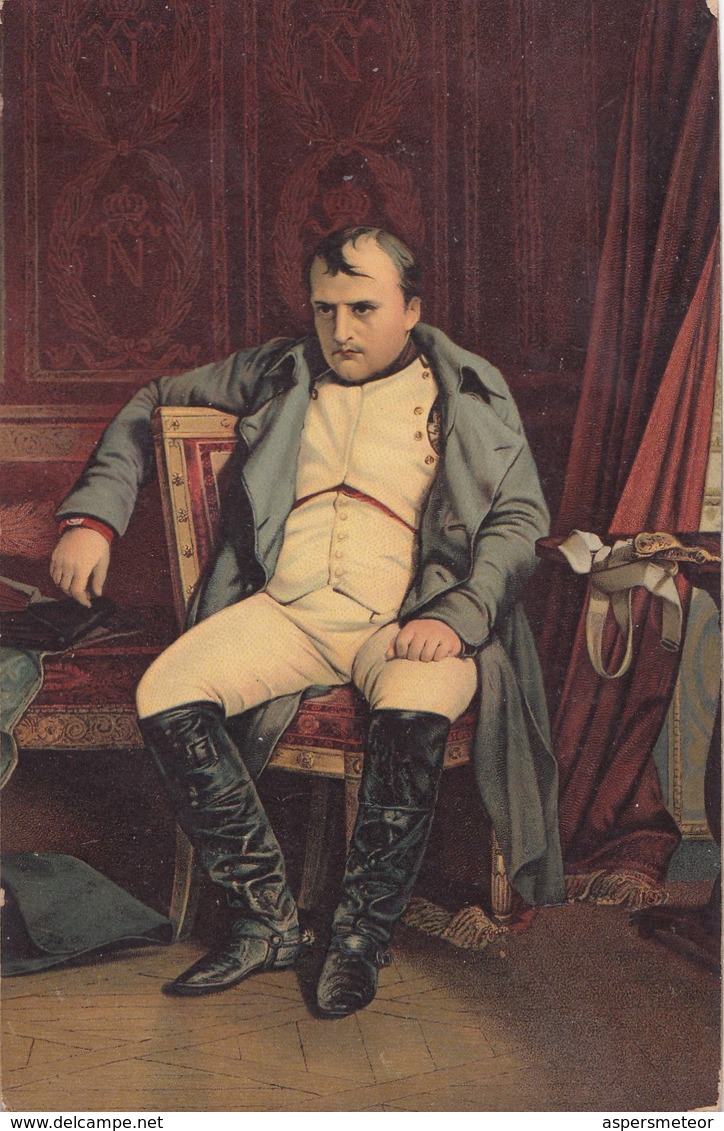 NAPOLEON IN FONTAINEBLEAU. DELAROCHE. STENGEL & CO. CIRCA 1910. - BLEUP - Schilderijen