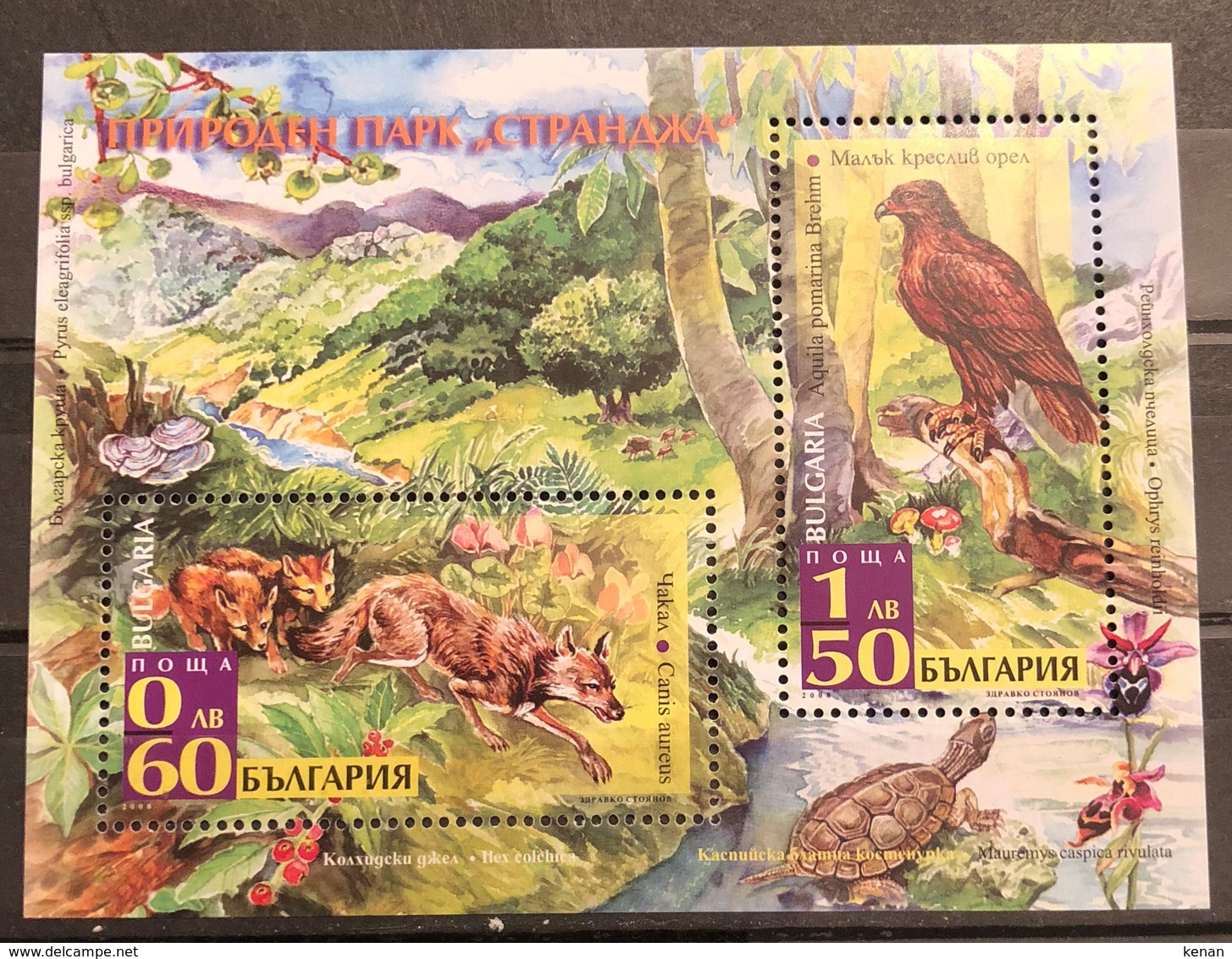 Bulgaria, 2008, Mi: Block 303 (MNH) - Águilas & Aves De Presa