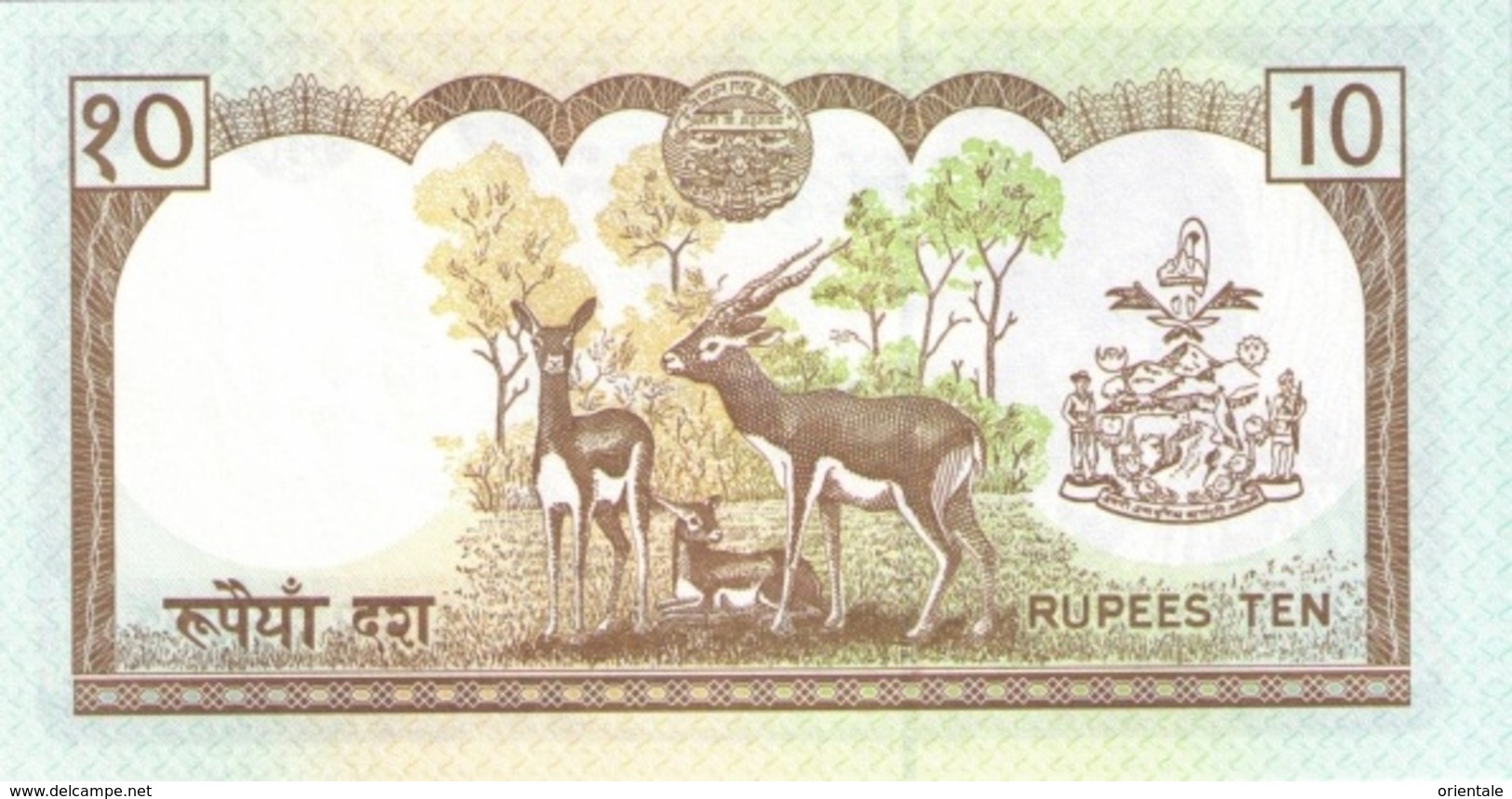 NEPAL P. 31b 10 R 1995 UNC - Népal