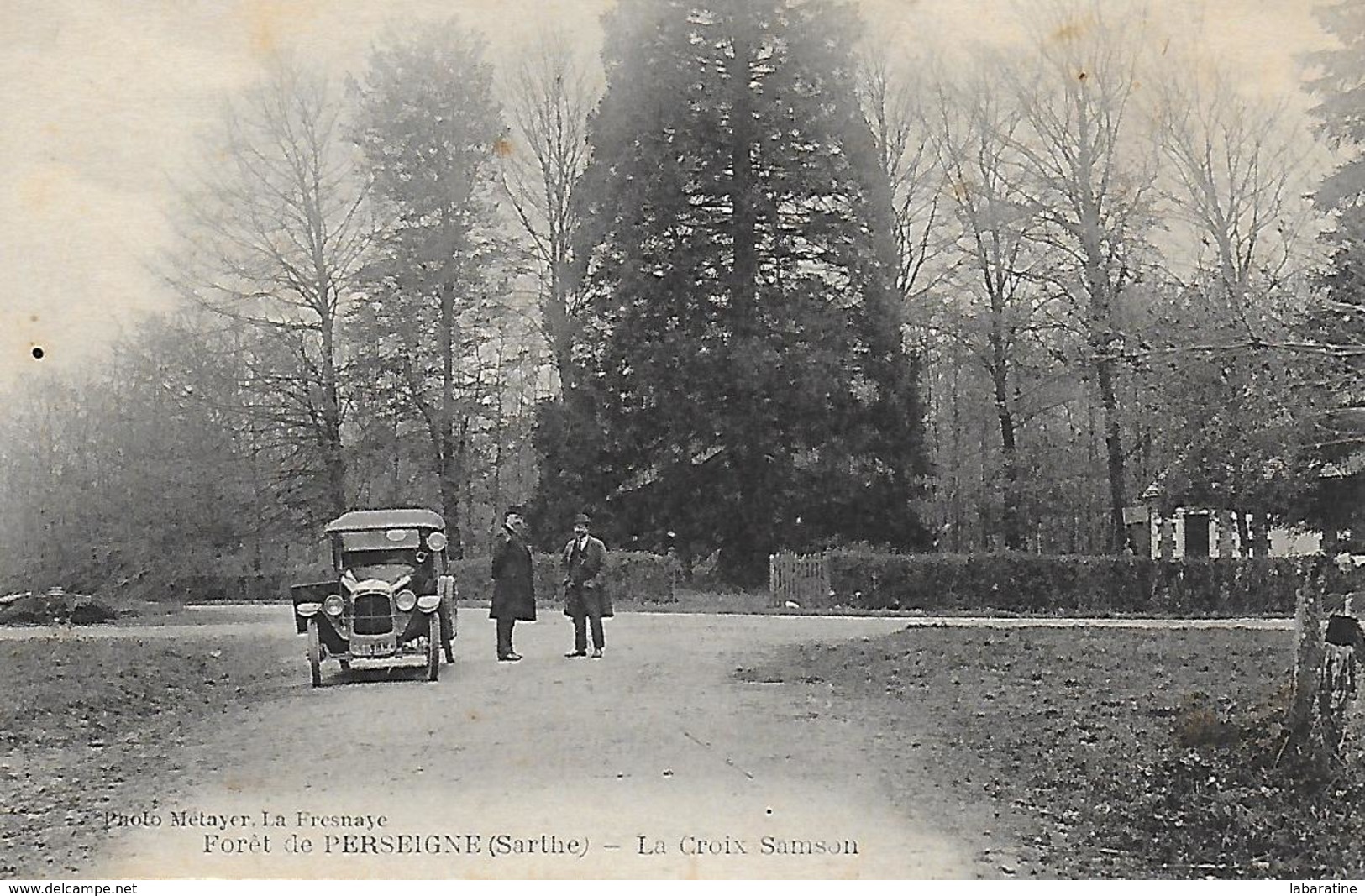 72)  PERSEIGNE   - Foret De Perseigne  -  La Croix Sanson - Autres & Non Classés