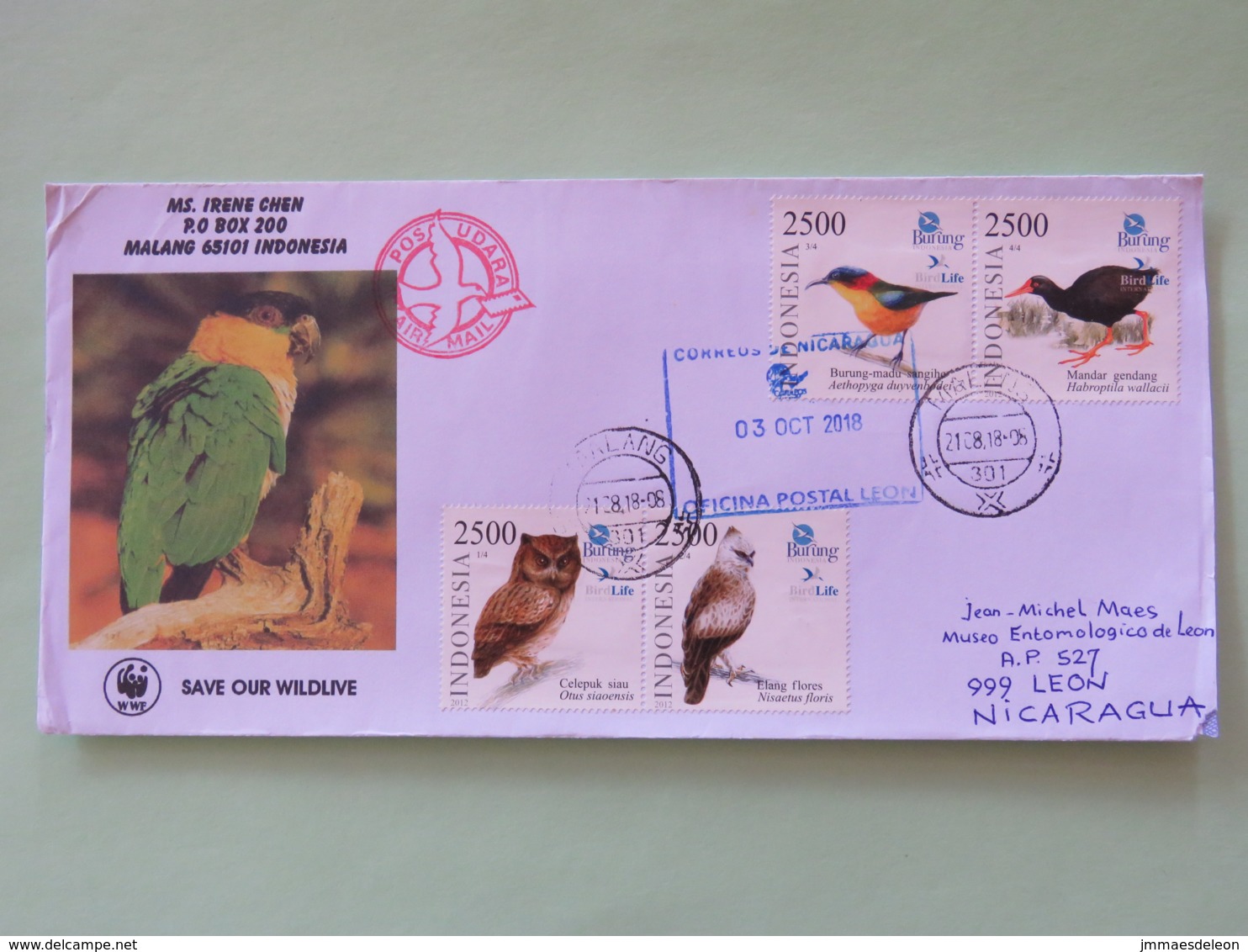 Indonesia 2018 Cover To Nicaragua - Birds Owl Raptors Water Birds Parrot - Indonésie